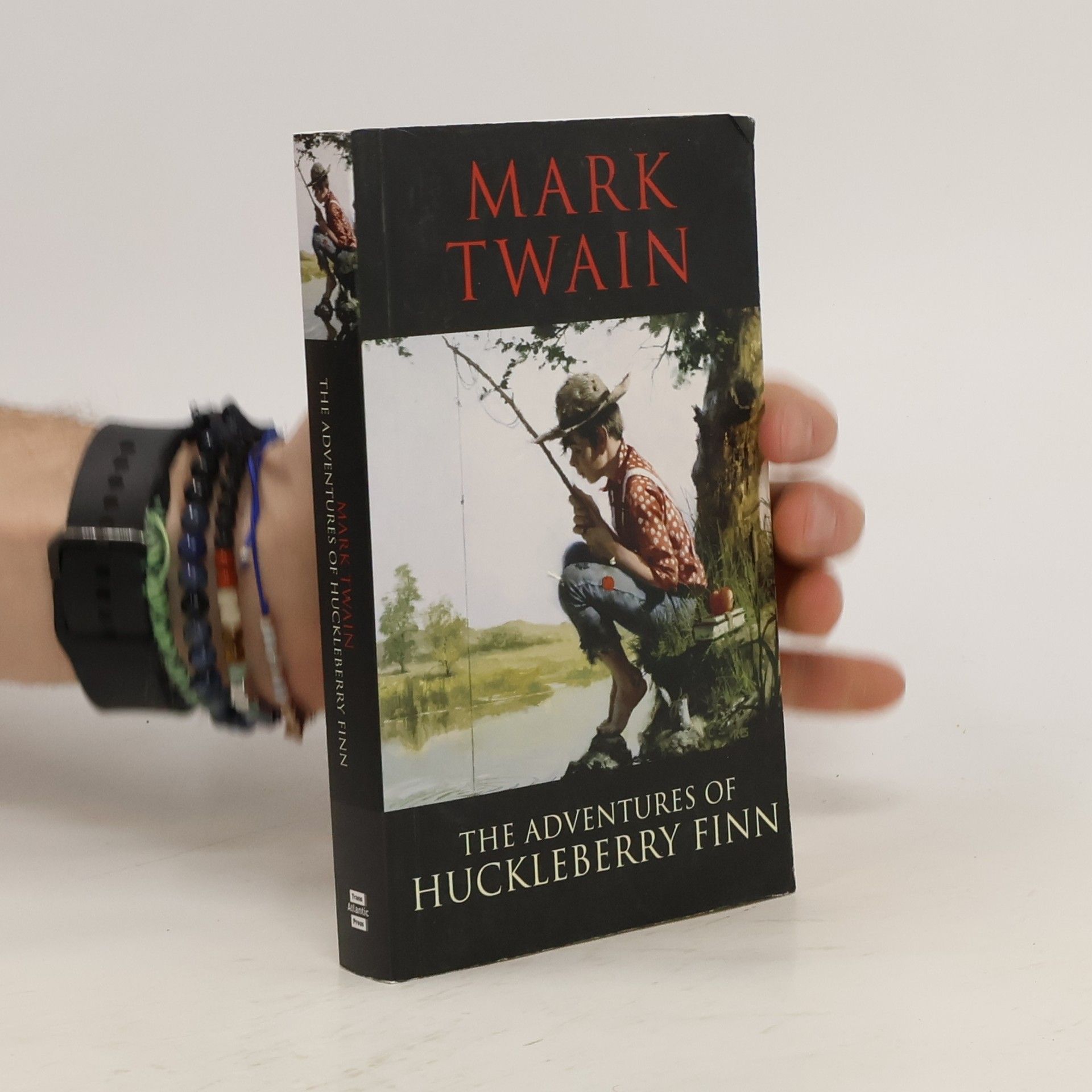 Mark Twain The Adventures of Huckleberry Finn
