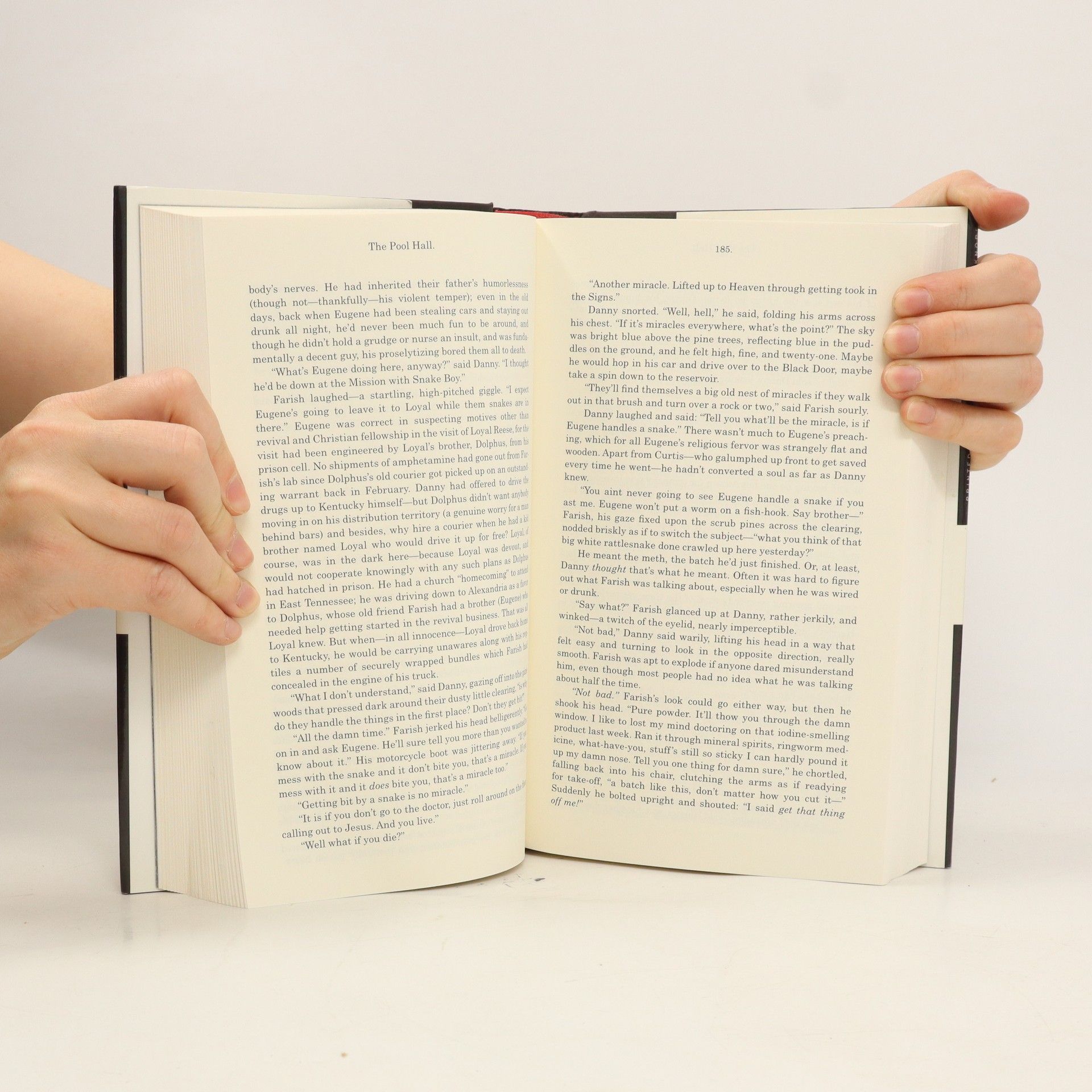 Donna Tartt The Little Friend
