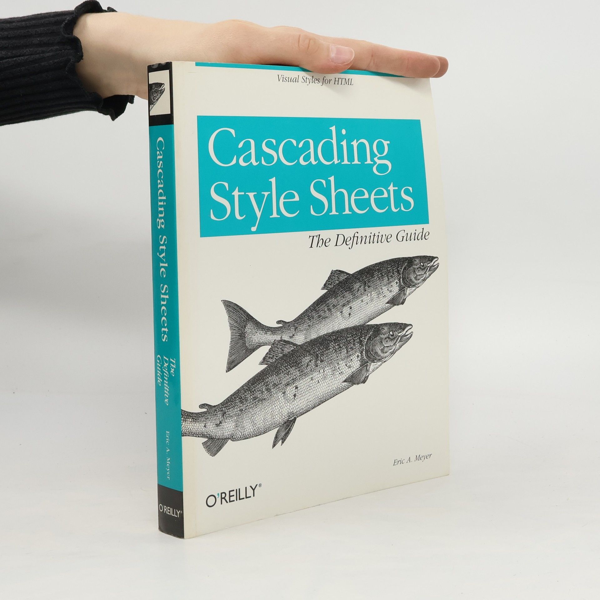 Eric Meyer Cascading Style Sheets