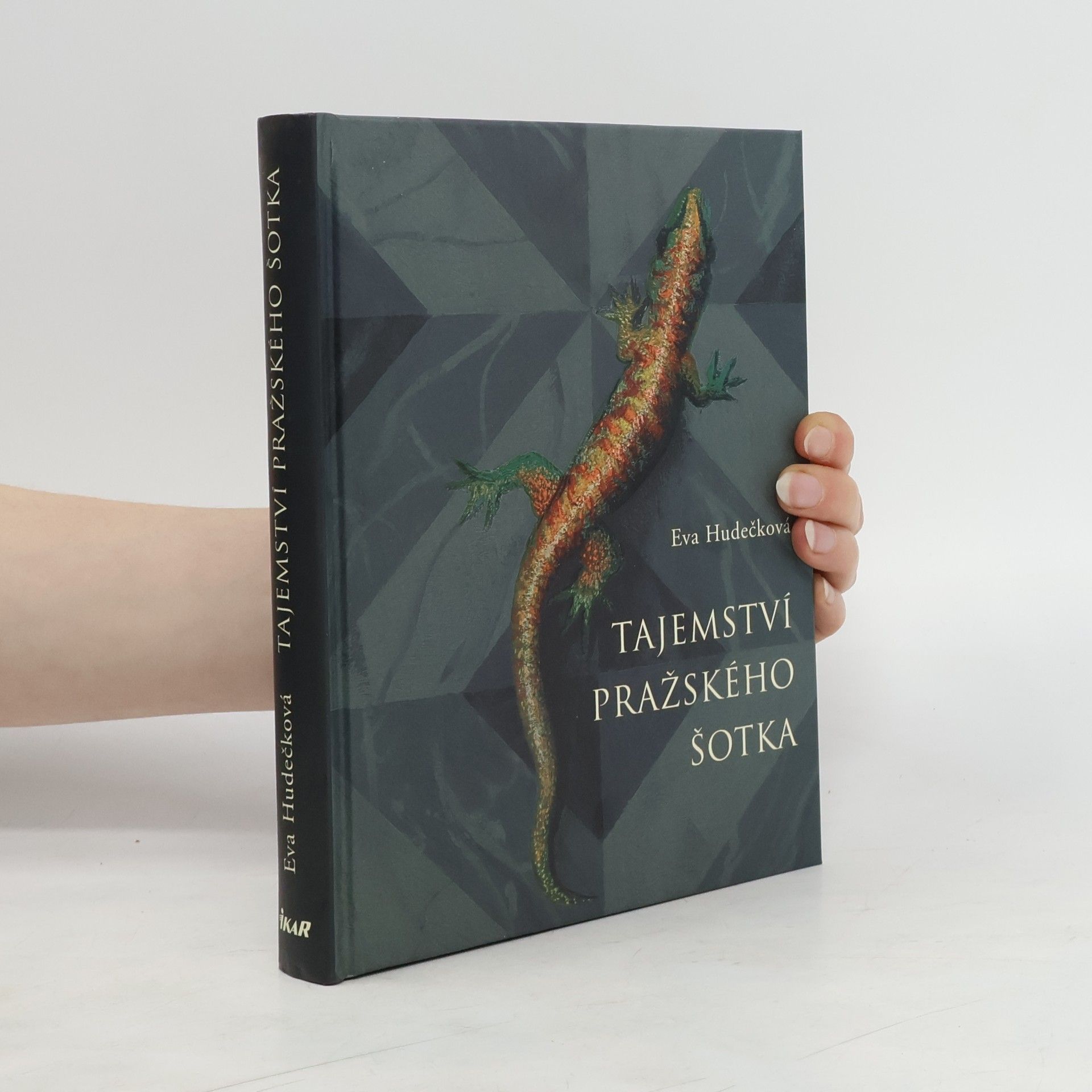 Eva Hudečková Tajemství pražského šotka