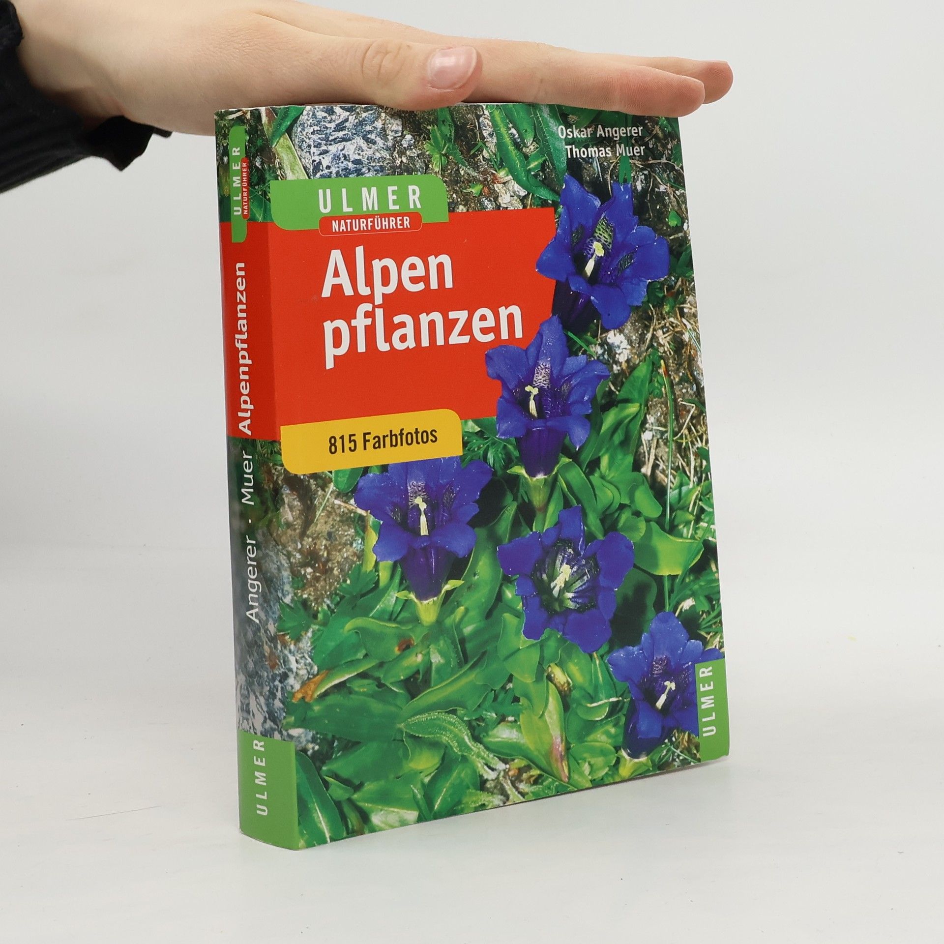Oskar Angerer Alpenpflanzen