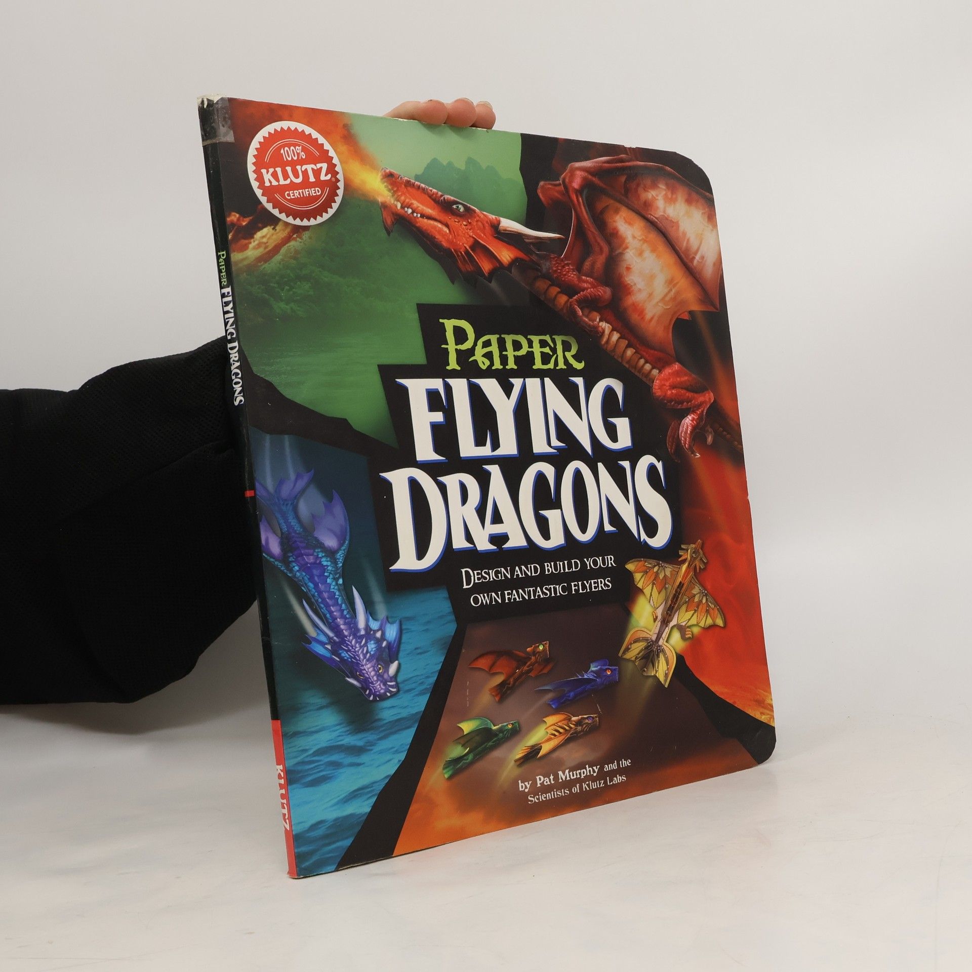 Kolektiv autorů Paper Flying Dragons