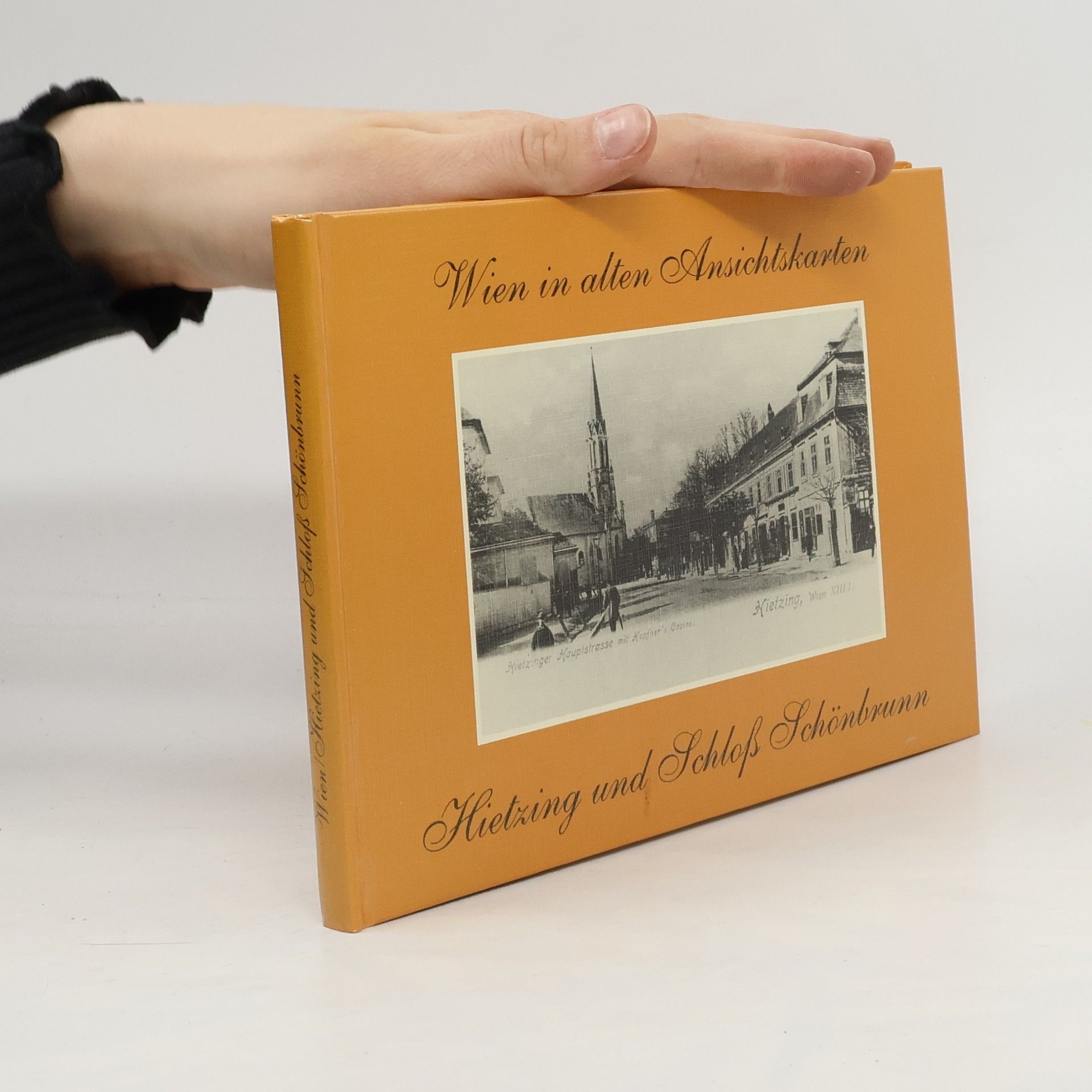 Collectif d'auteurs Wien in alten Ansichtskarten