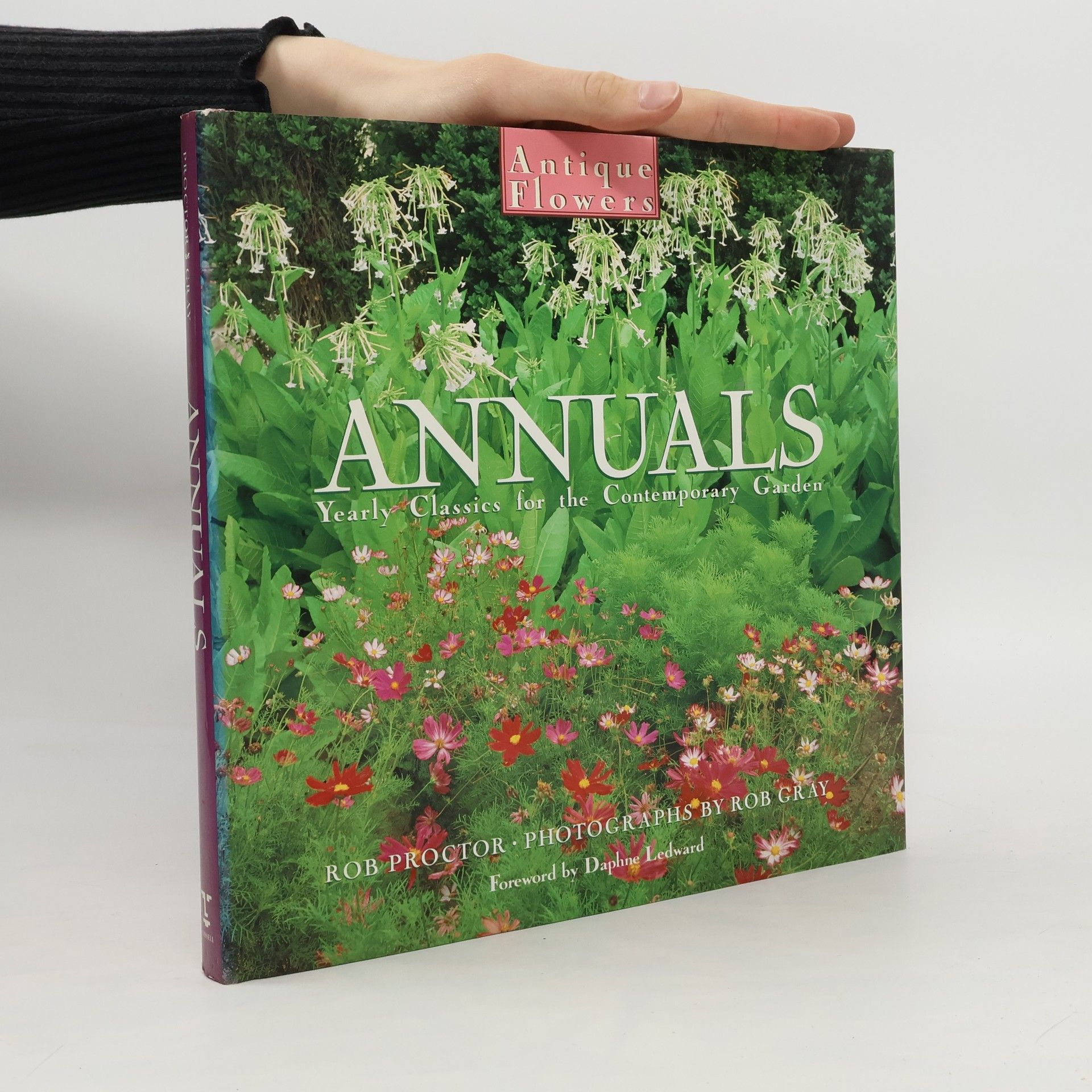 Rob Proctor Annuals