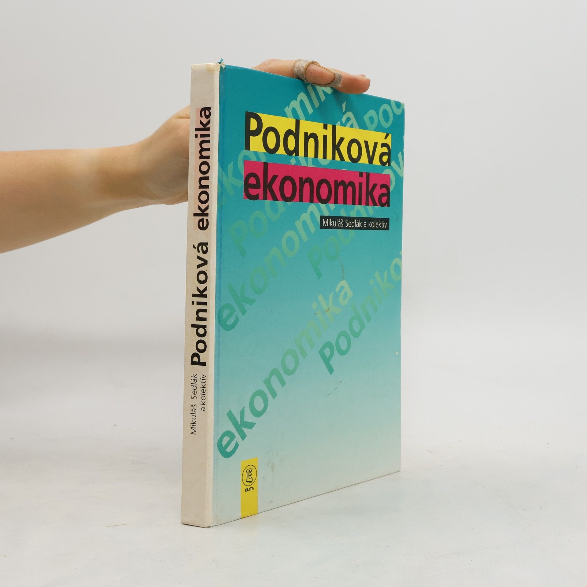 kolektiv Podniková ekonomika