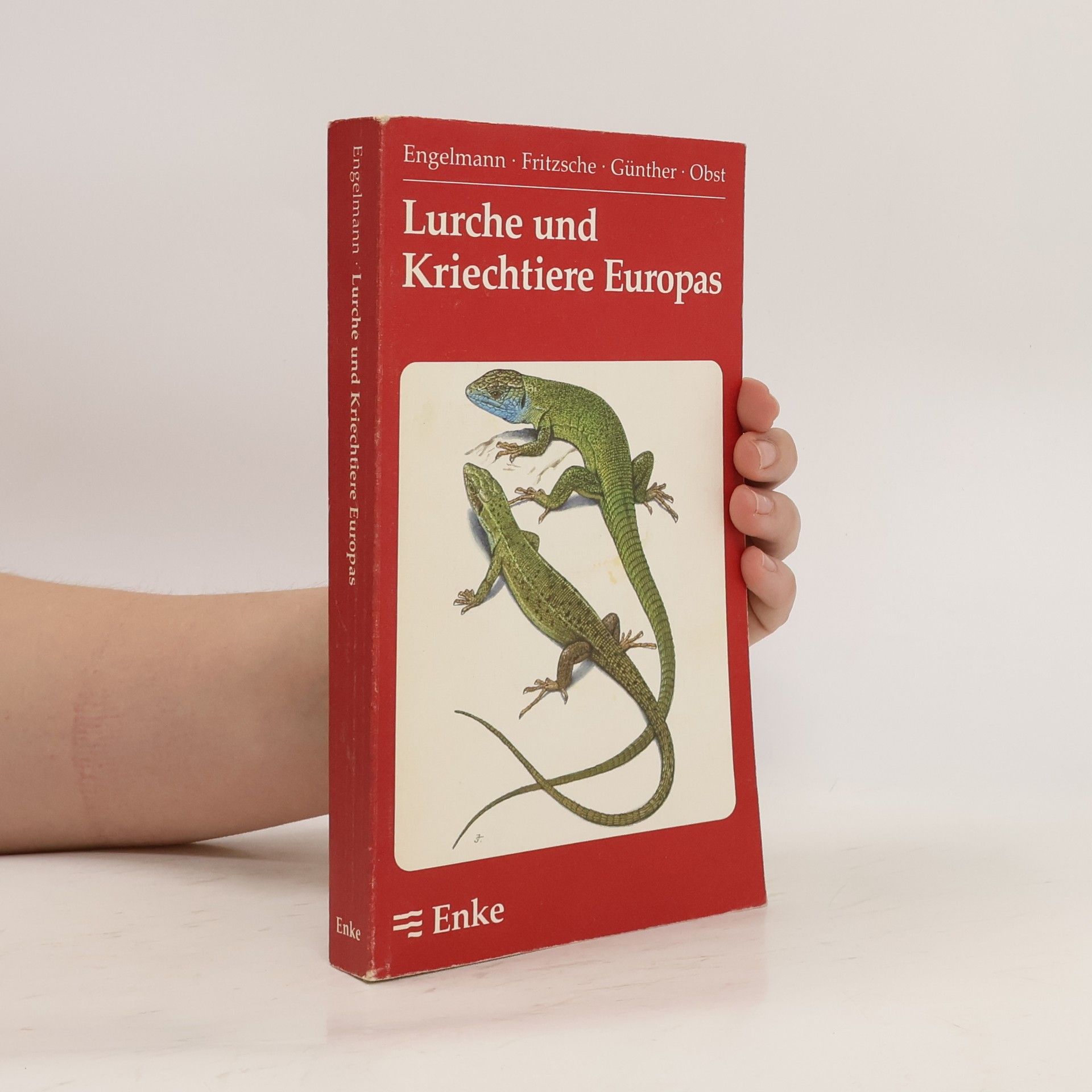 Wolf Eberhard Engelmann Lurche und Kriechtiere Europas