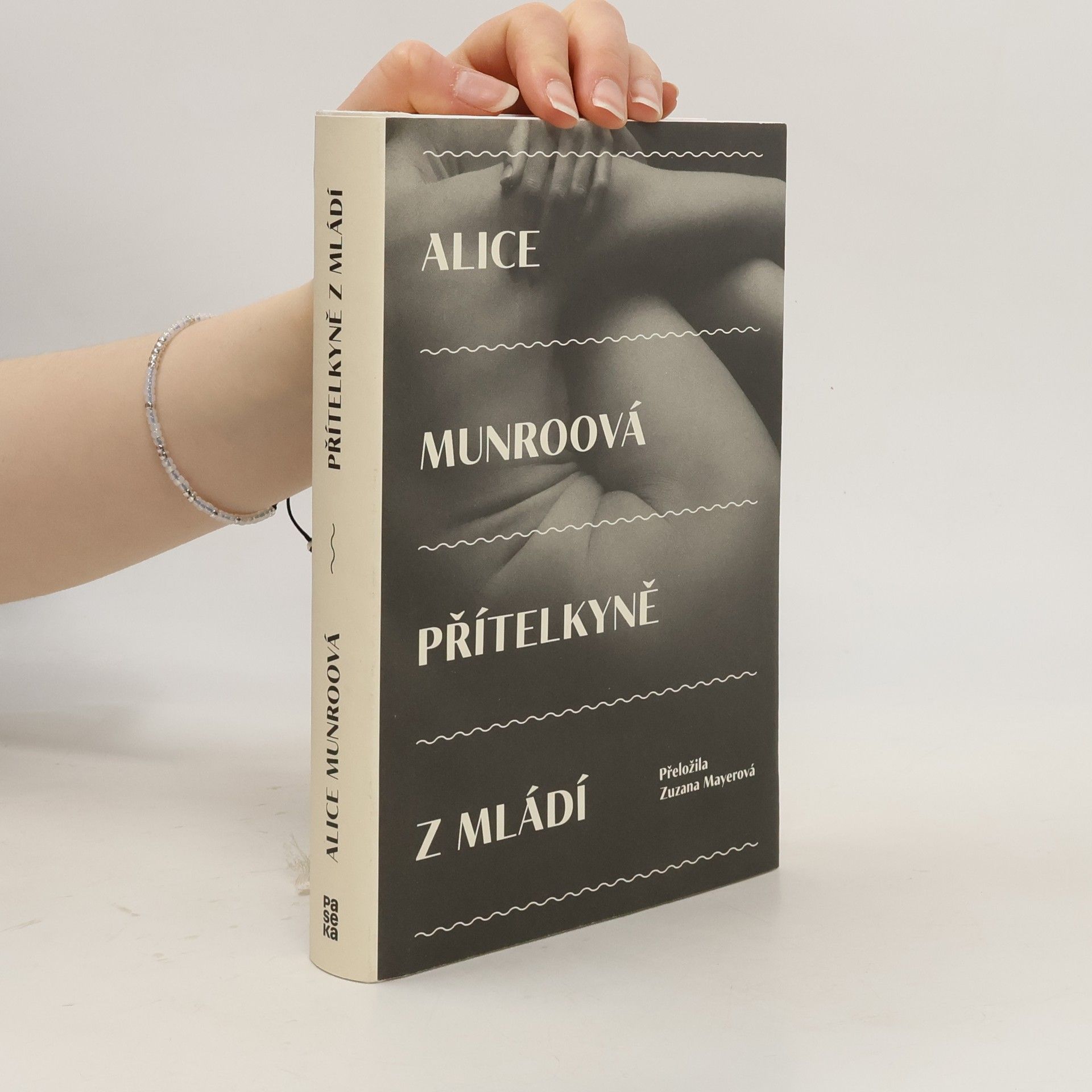 Alice Munro Přítelkyně z mládí