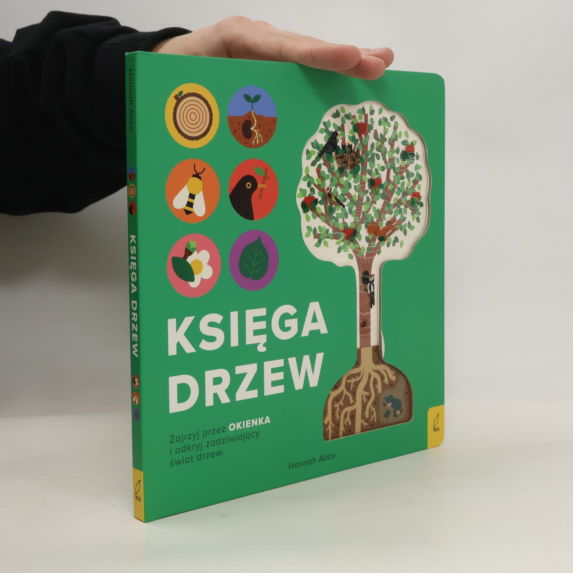 Wilga Encyklopedia z folią Księga drzew