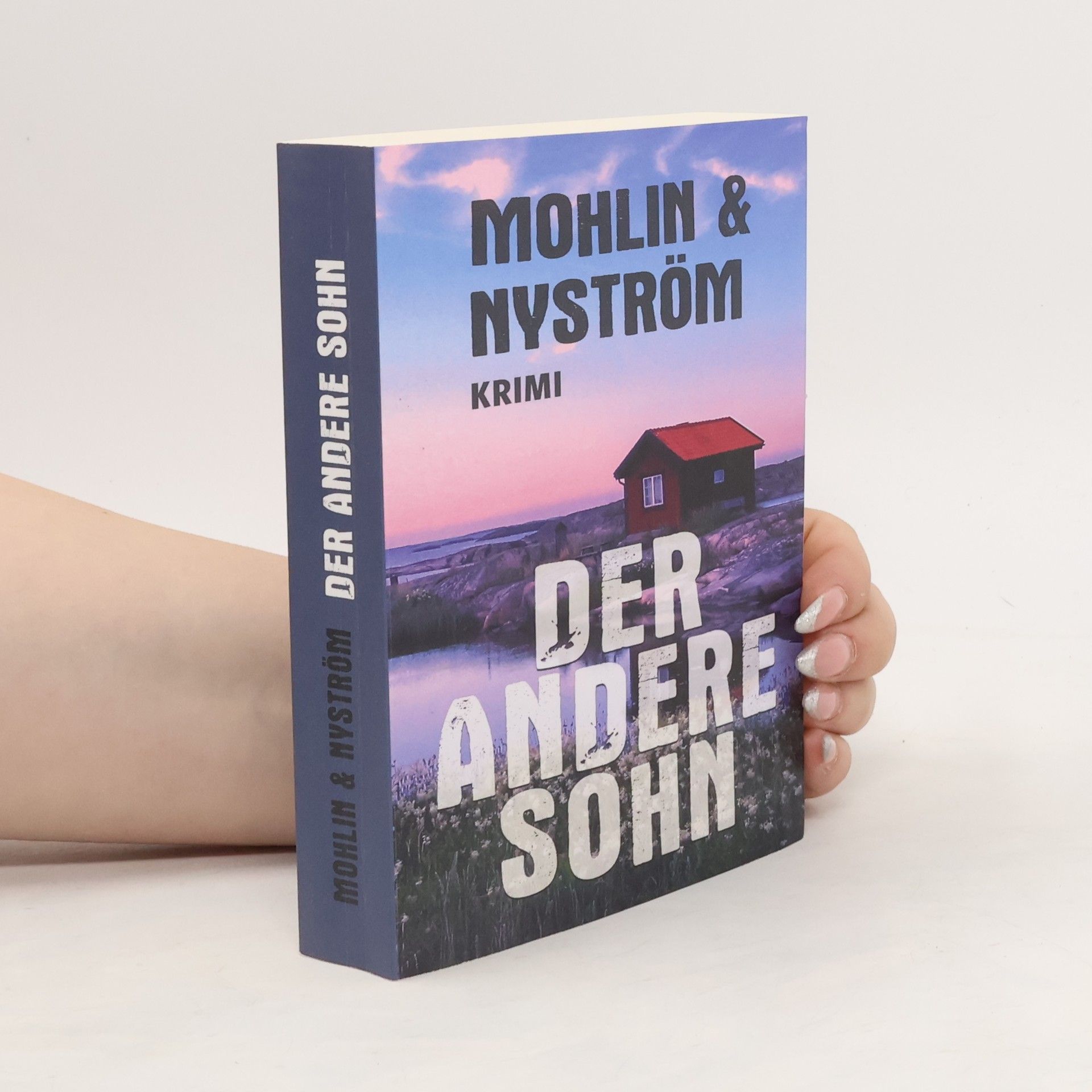 Peter Mohlin Der andere Sohn