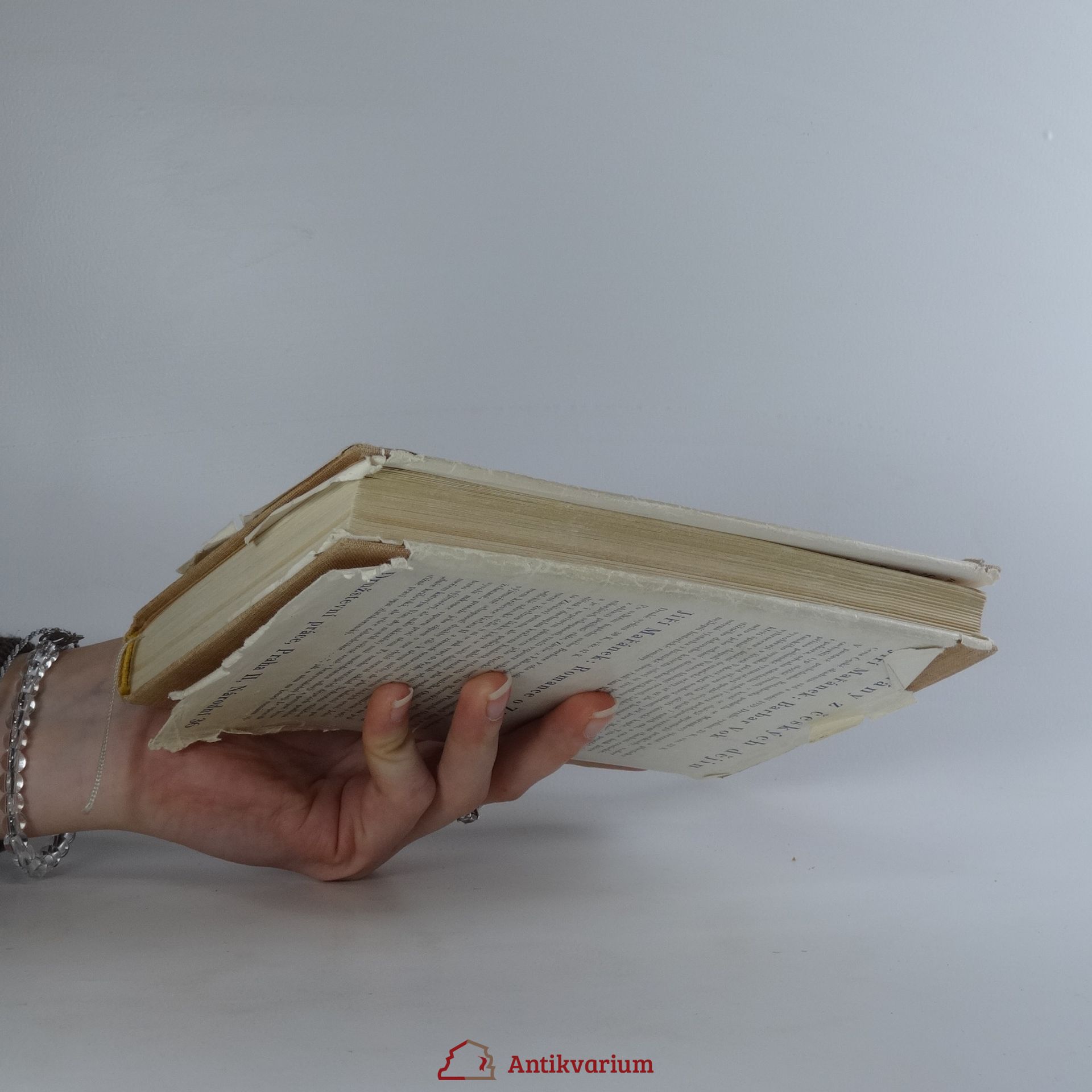 Helena Šmahelová Sedmý den odpočívej