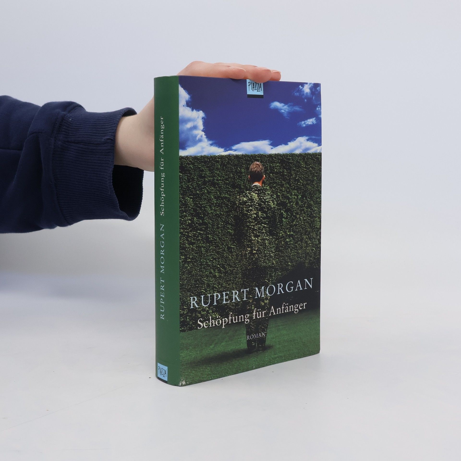 Rupert Morgan Schöpfung für Anfänger