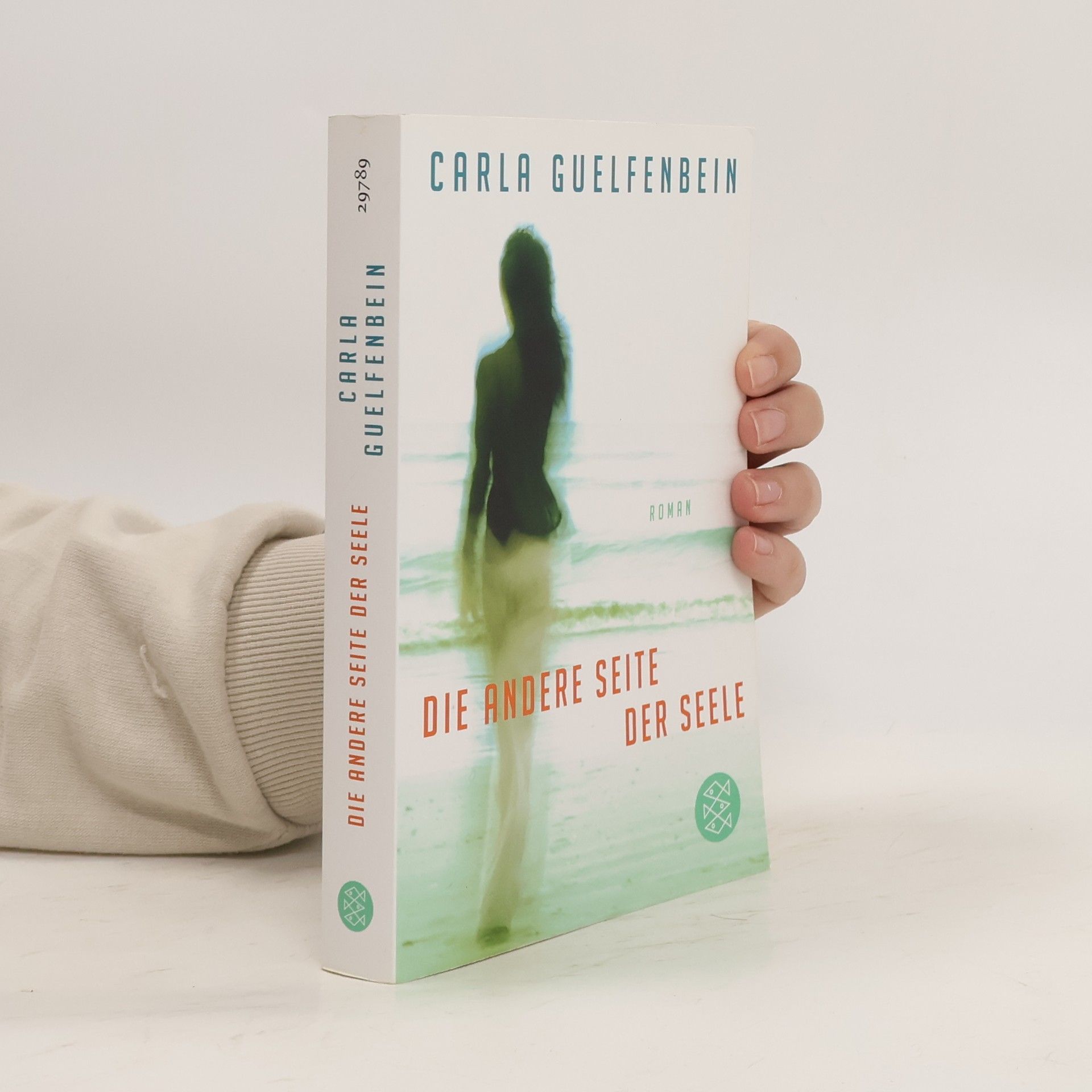 Carla Guelfenbein Die andere Seite der Seele