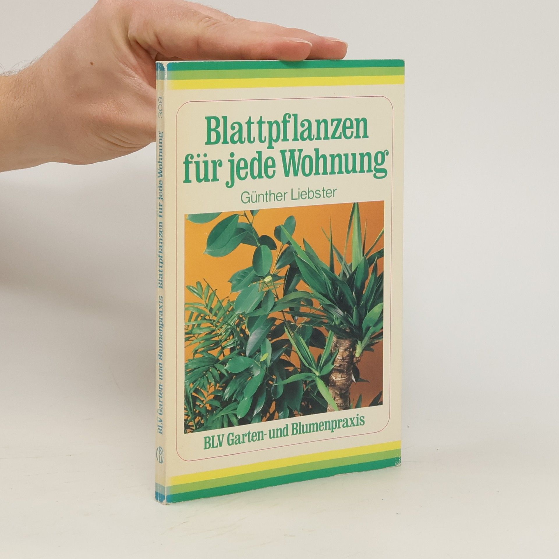 Günther Liebster Blattpflanzen für jede Wohnung