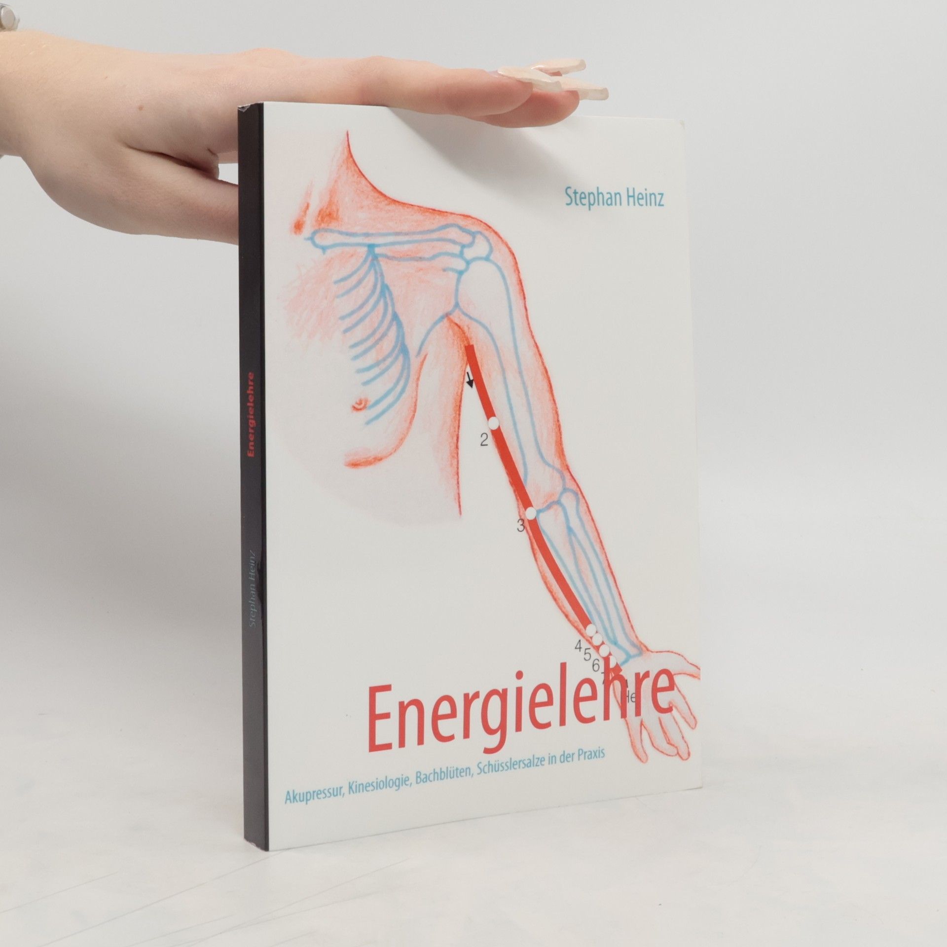 Stephan Heinz Energielehre