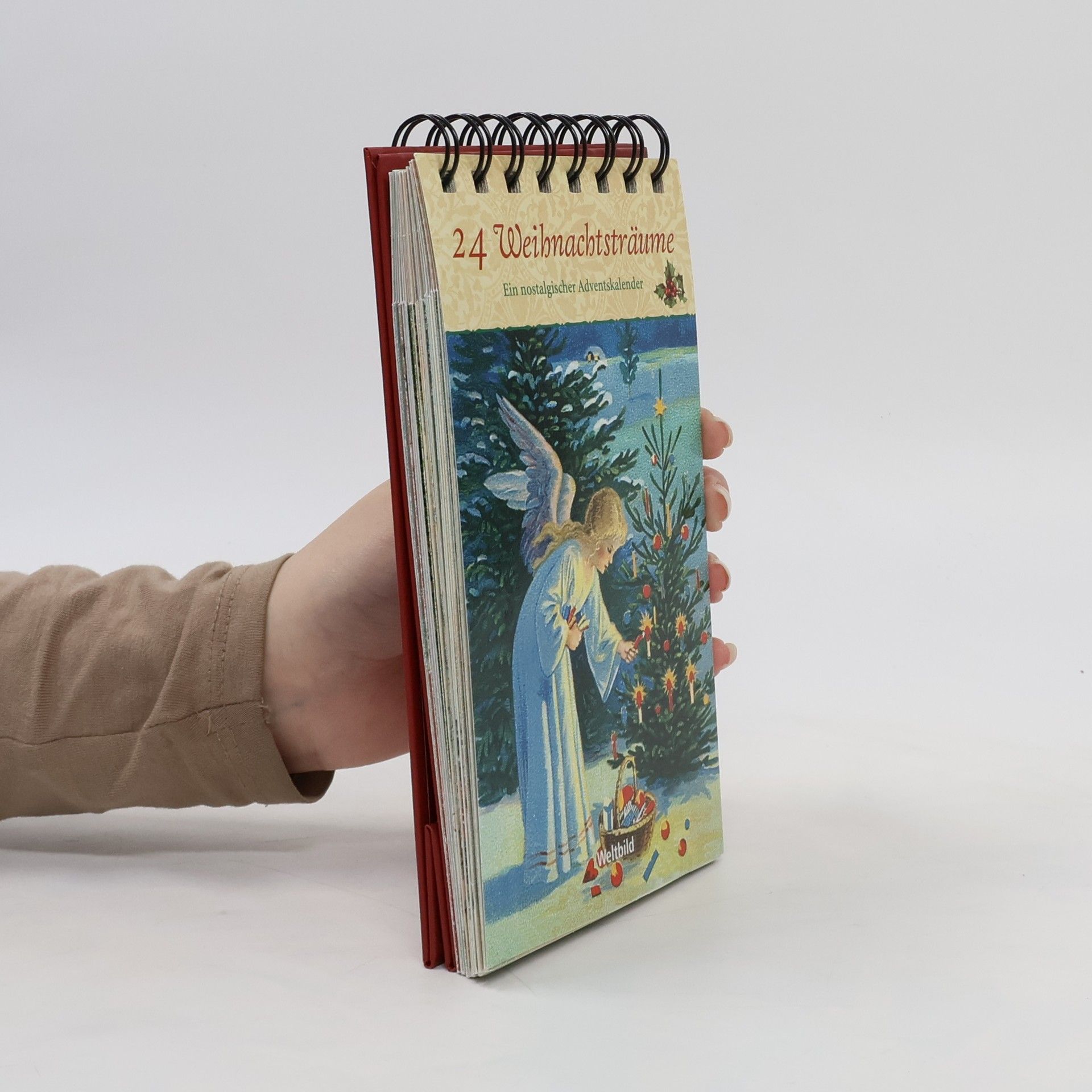 Auteurscollectief 24 Weihnachtsträume