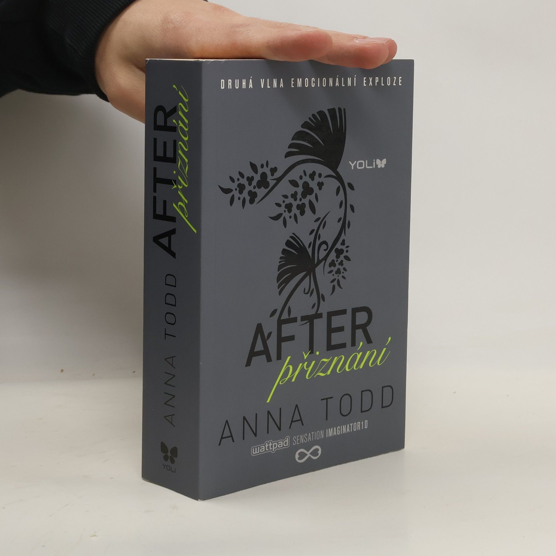 Anna Todd After. Přiznání