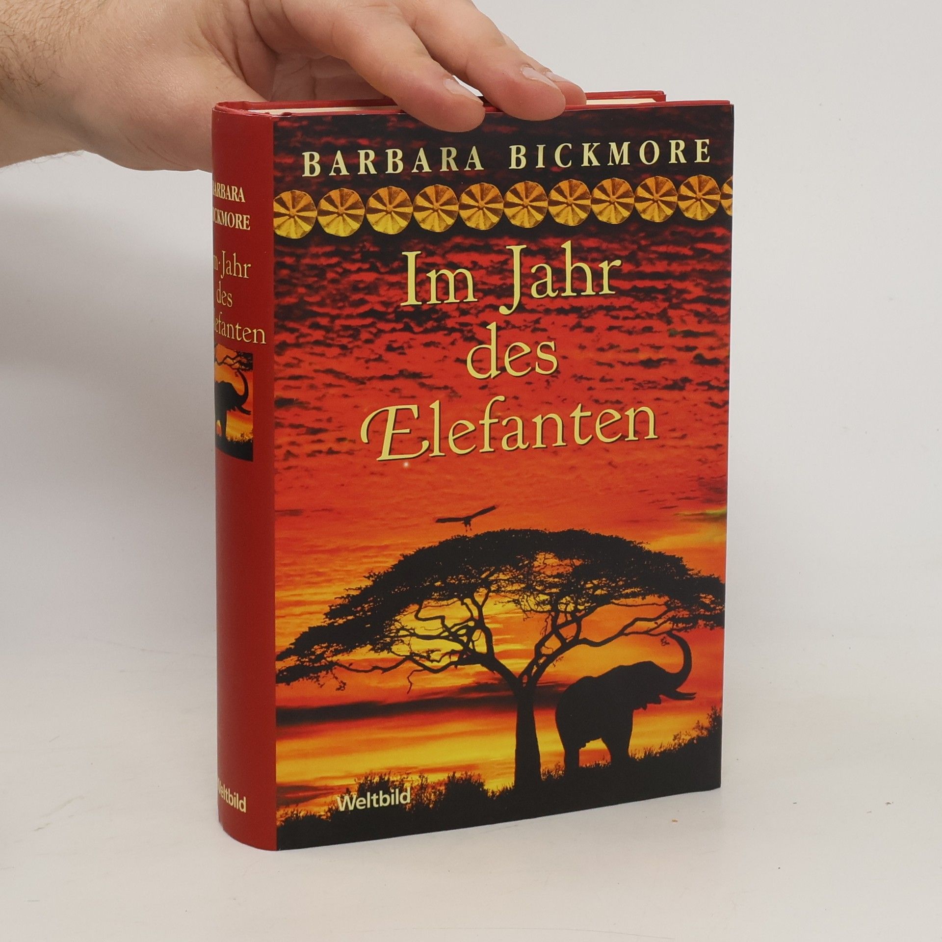 Barbara Bickmore Im Jahr des Elefanten