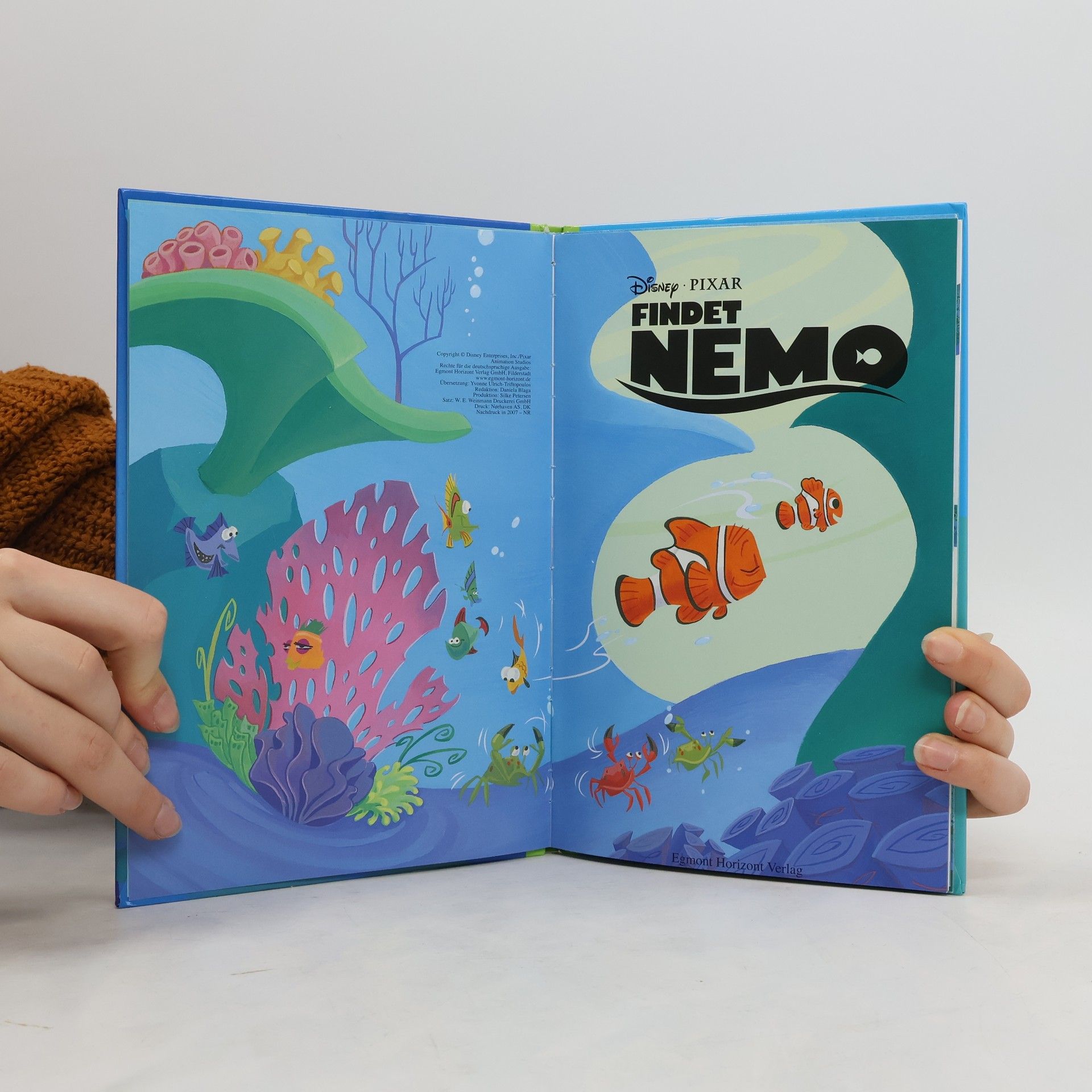 Autorenkollektiv Findet Nemo