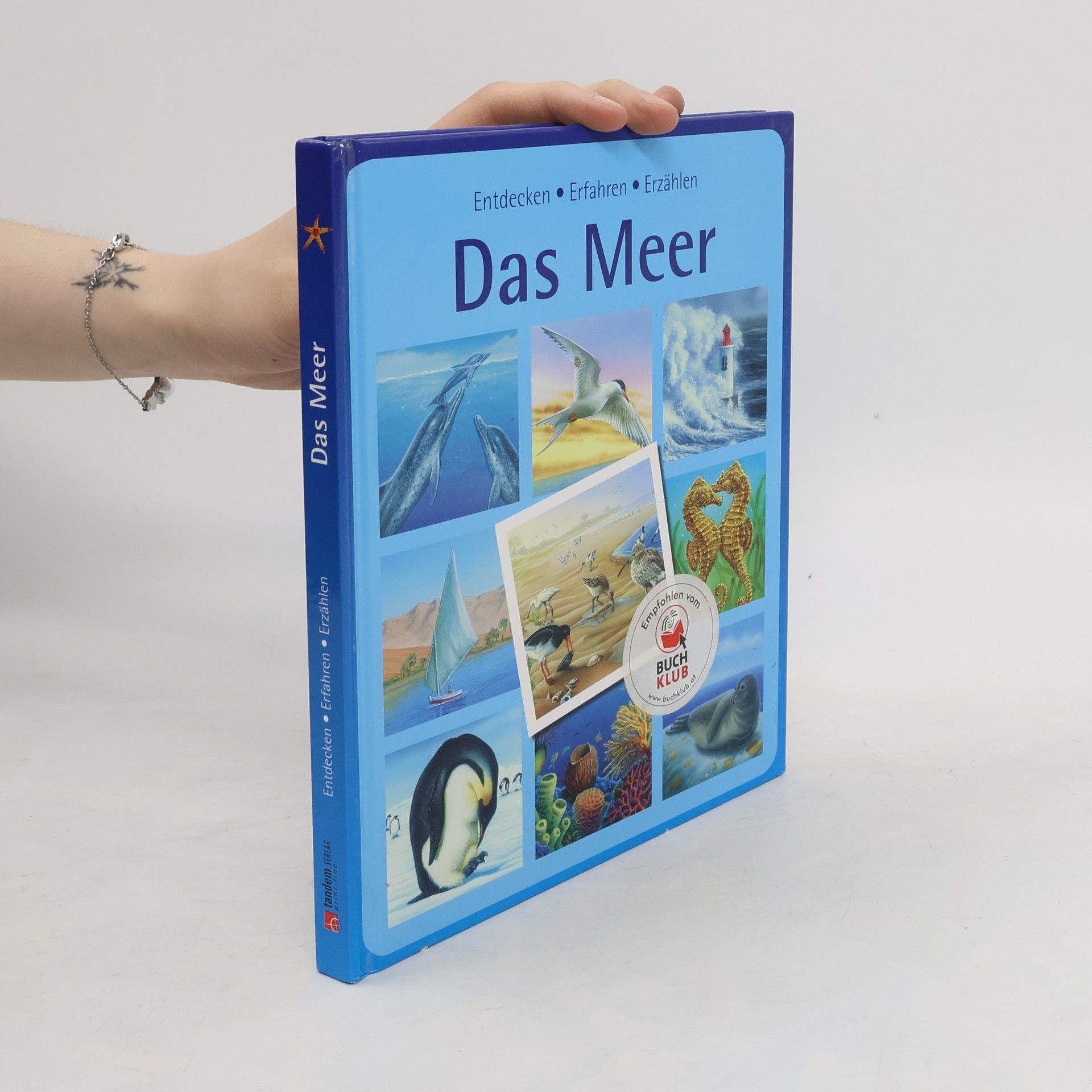 Autorenkollektiv Das Meer