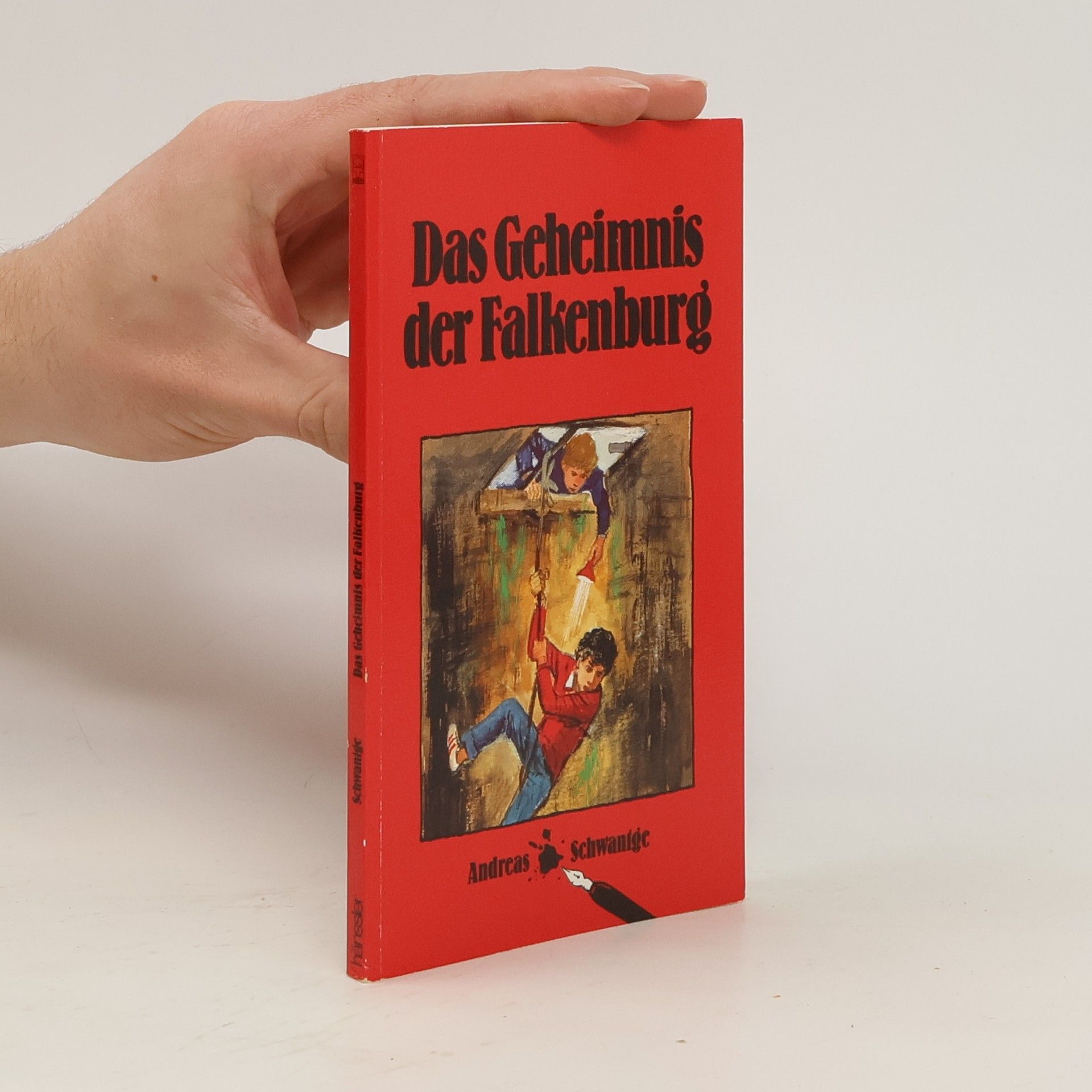 Andreas Schwantge Das Geheimnis der Falkenburg