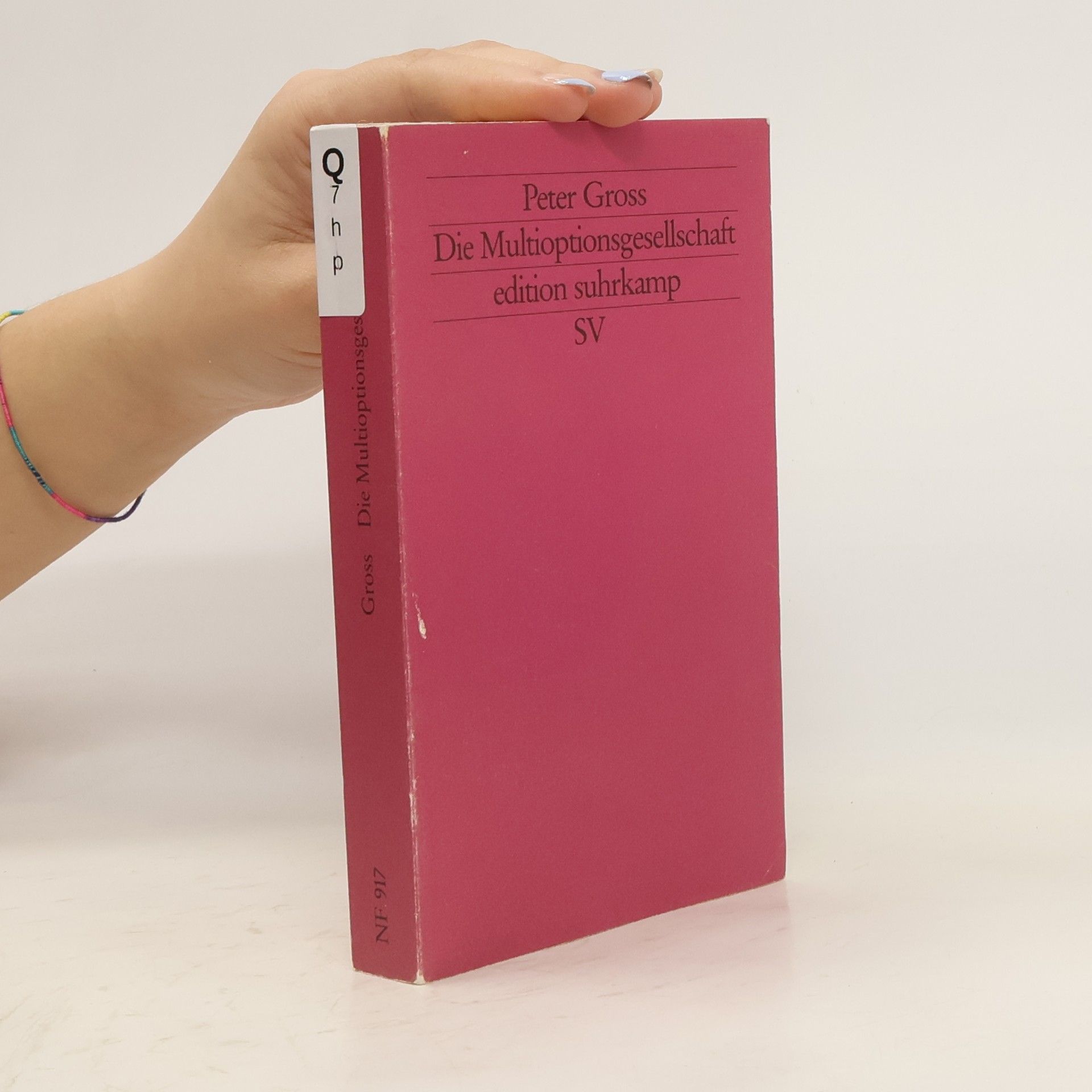 Peter Gross Die Multioptionsgesellschaft