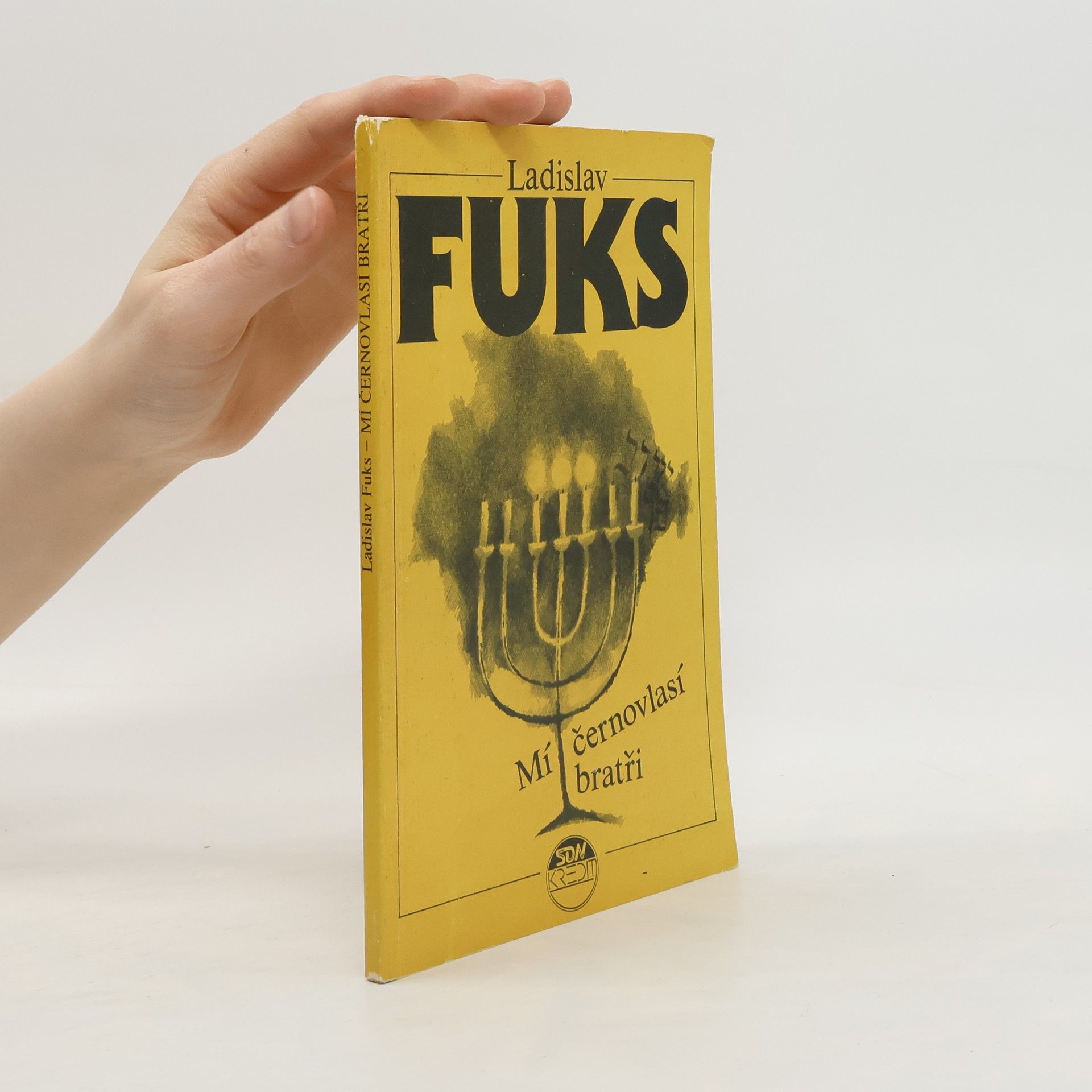 Ladislav Fuks Mí černovlasí bratři