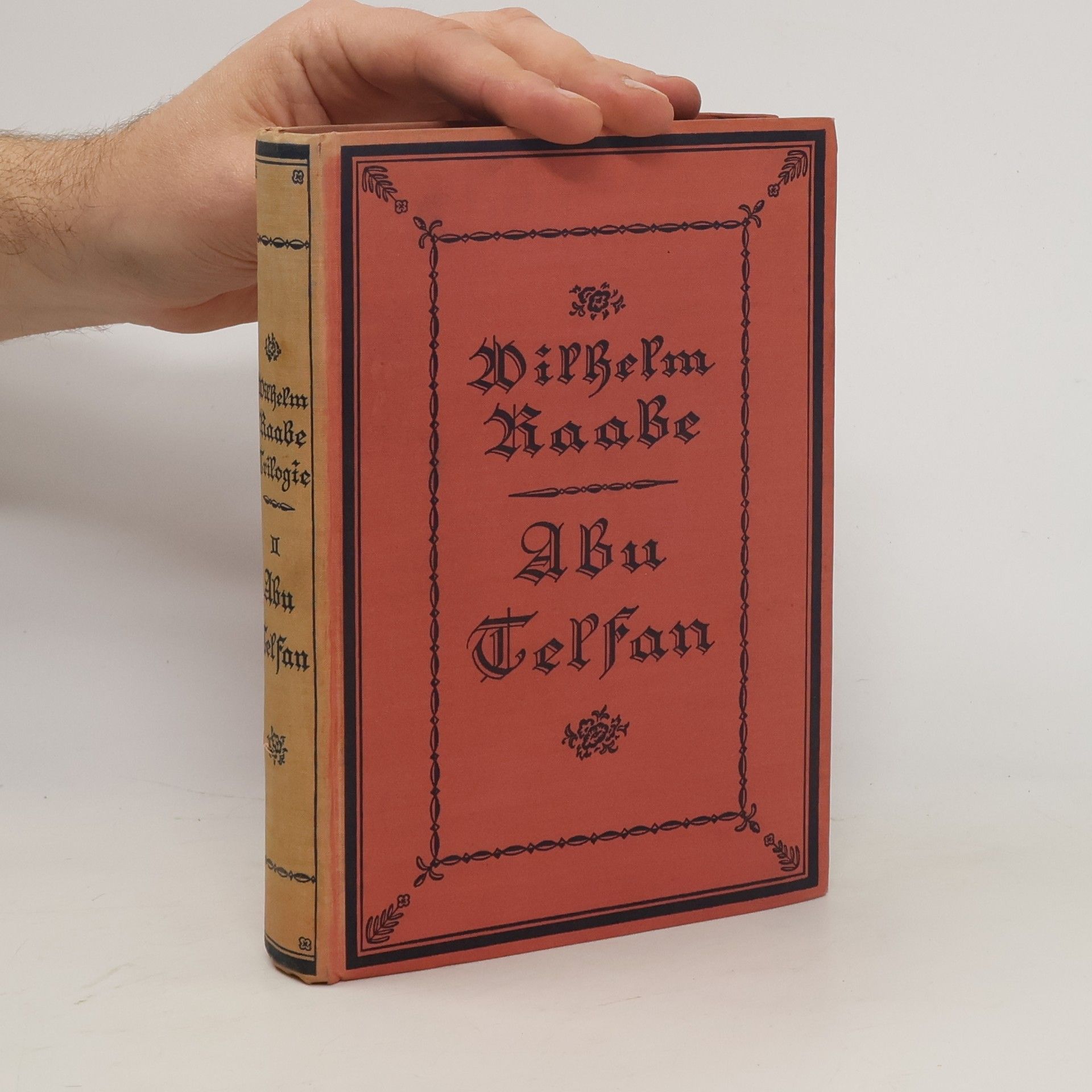 Wilhelm Raabe Abu Telfan 2