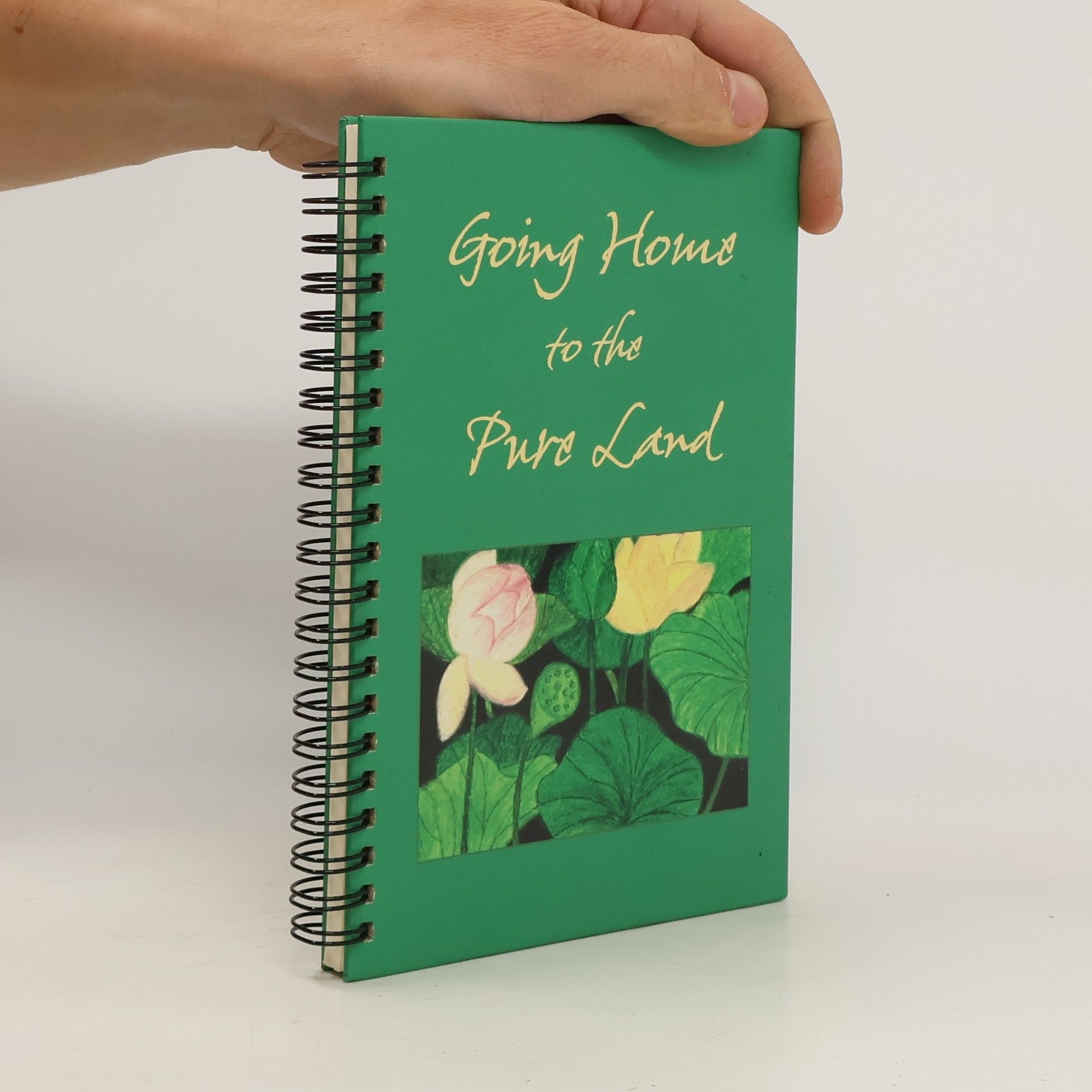 Shi Wuling Going Home to the Pure Land