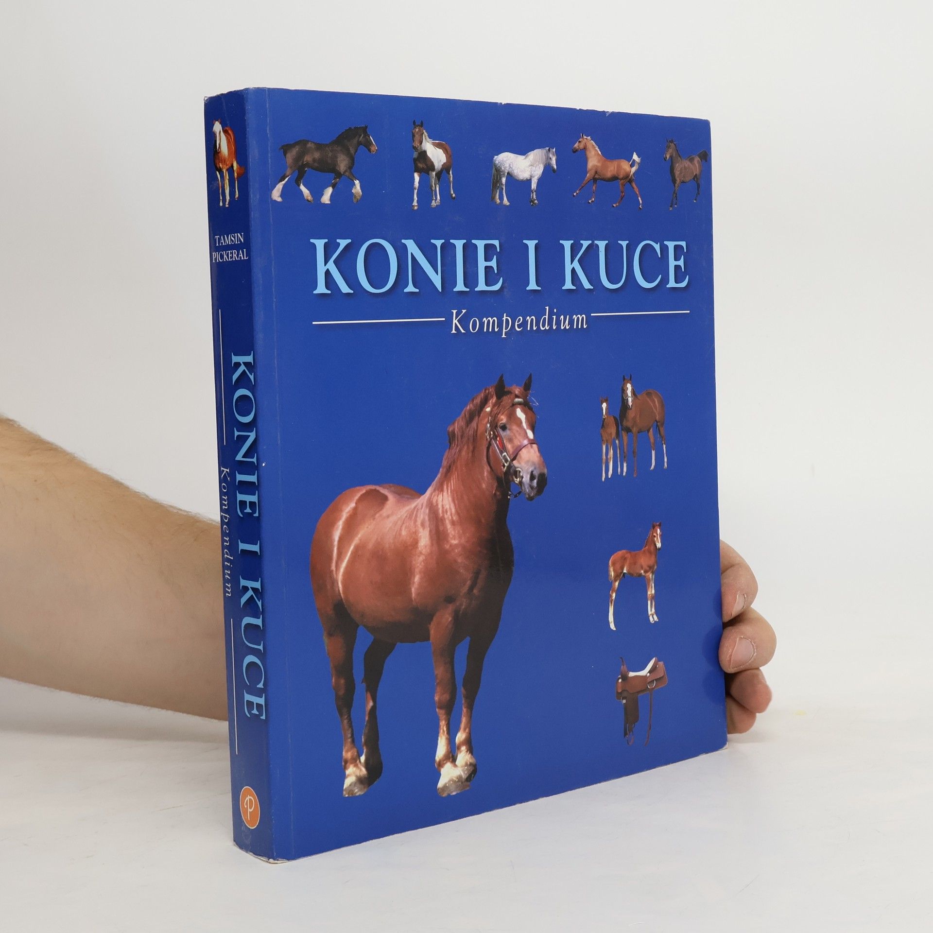 Tamsin Pickeral Konie i kuce