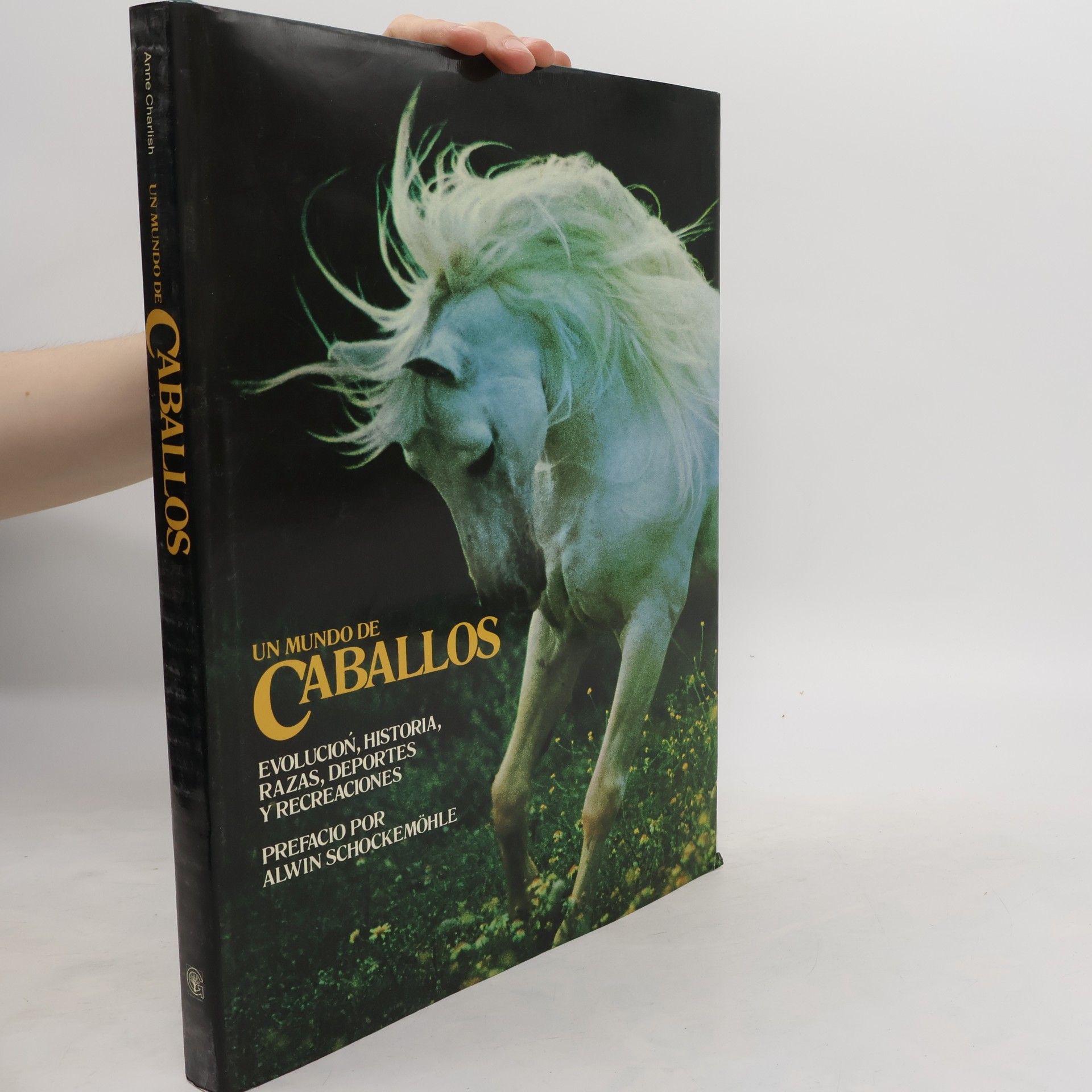 Collectif d'auteurs Un mundo de Caballos