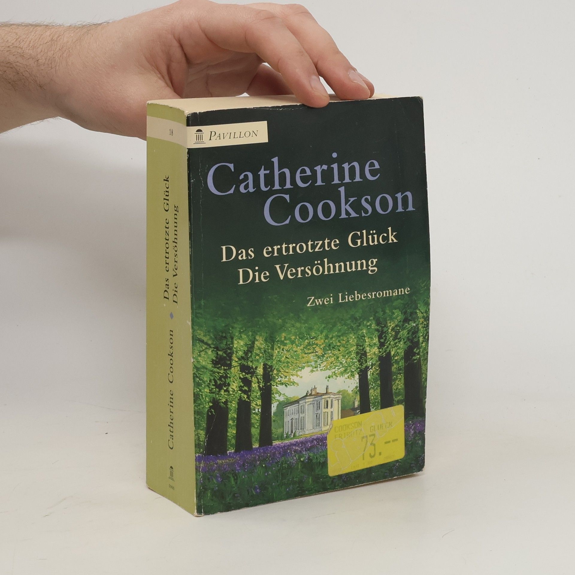 Catherine Cookson Das ertrotzte Glück. Die Versöhnung