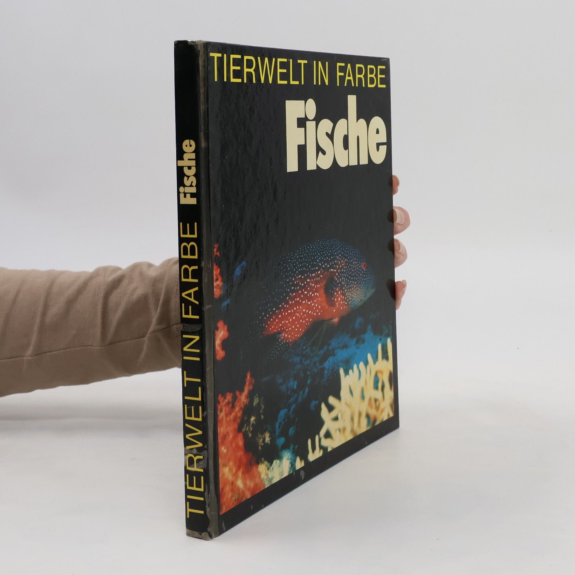 Reinhold Sautner Tierwelt in Farbe. Fische