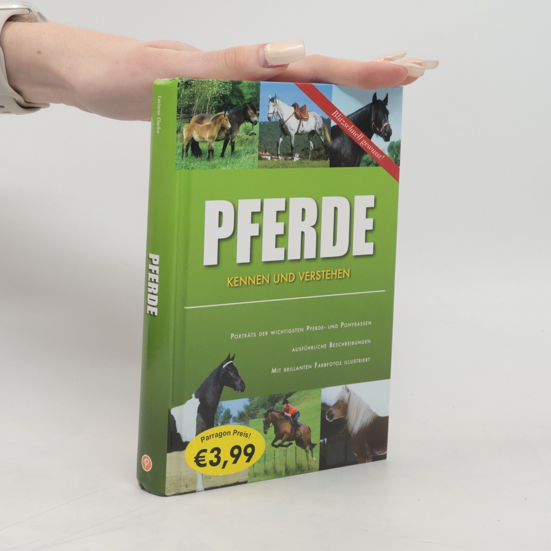 Corinne Clark Pferde kennen und verstehen