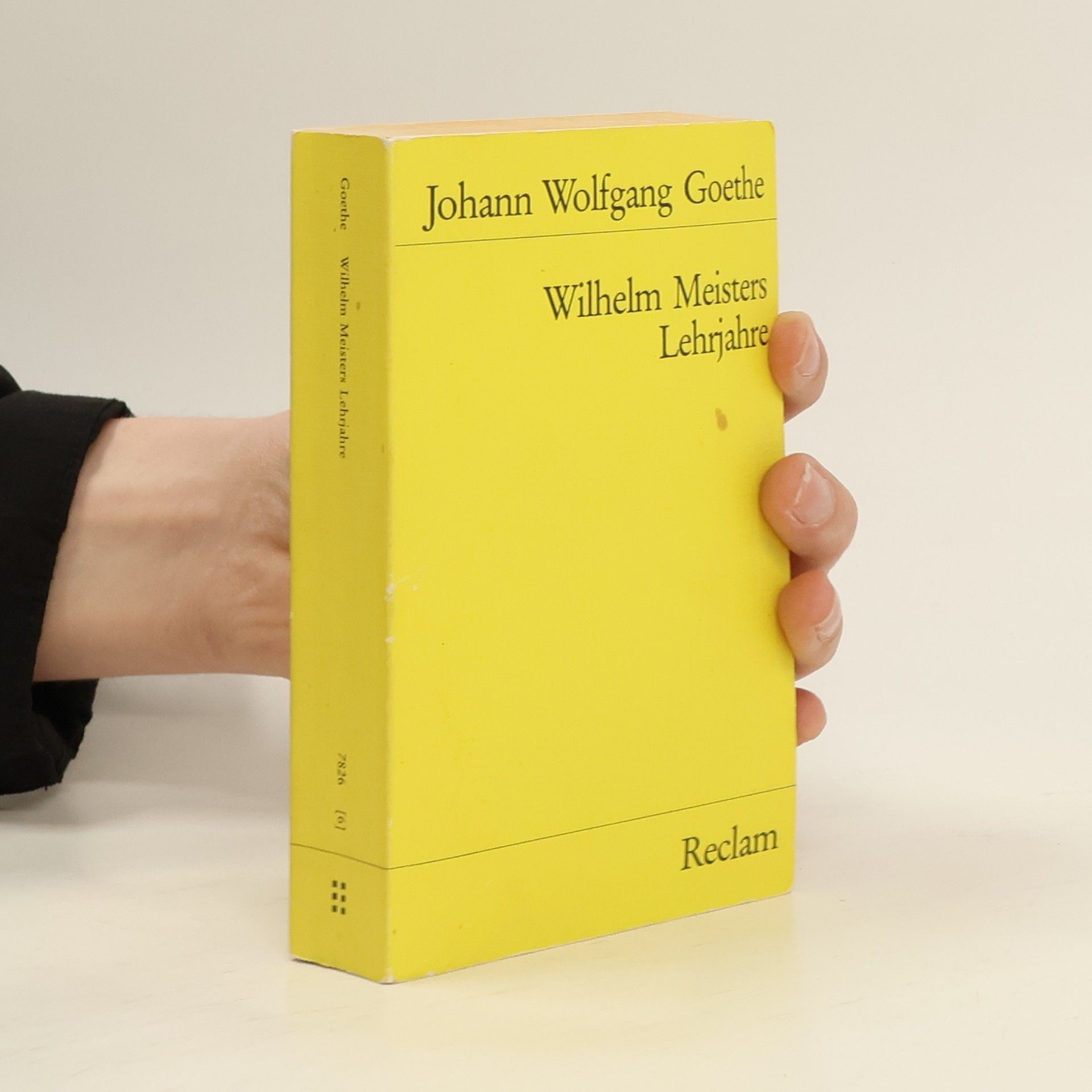 Johann Wolfgang von Goethe Wilhelm Meisters Lehrjahre