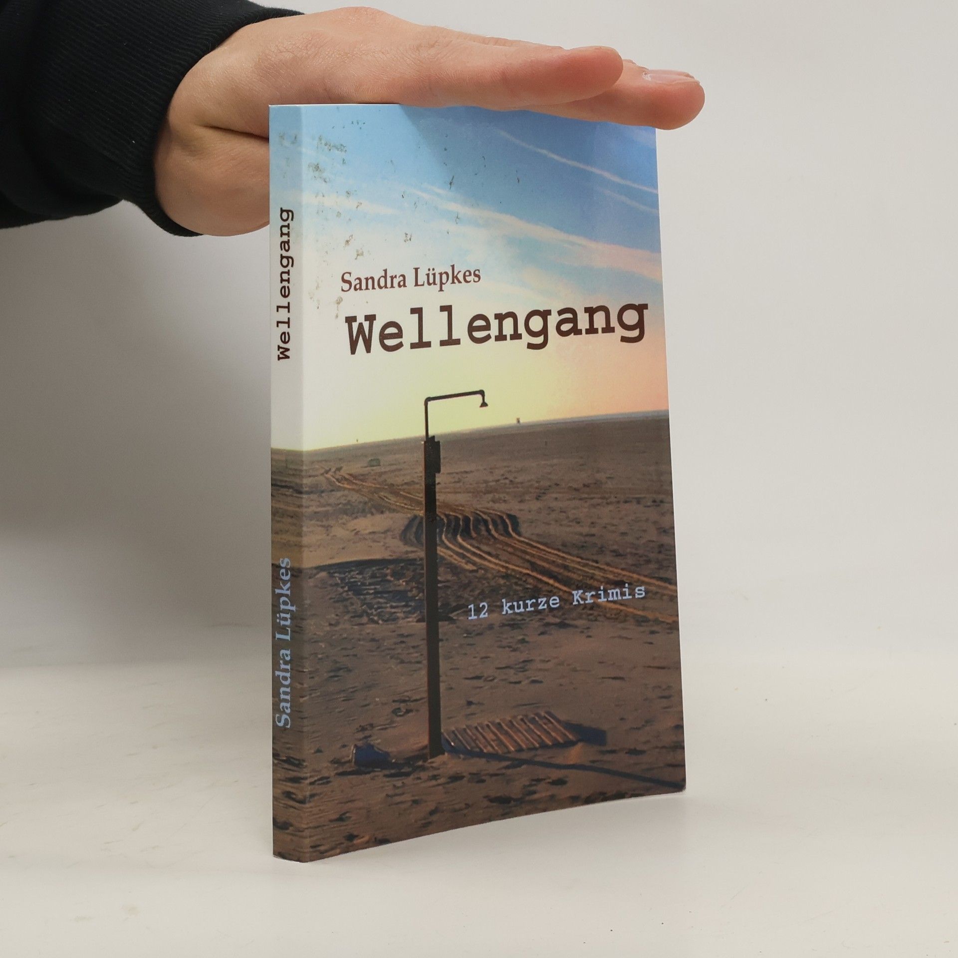 Sandra Lüpkes Wellengang