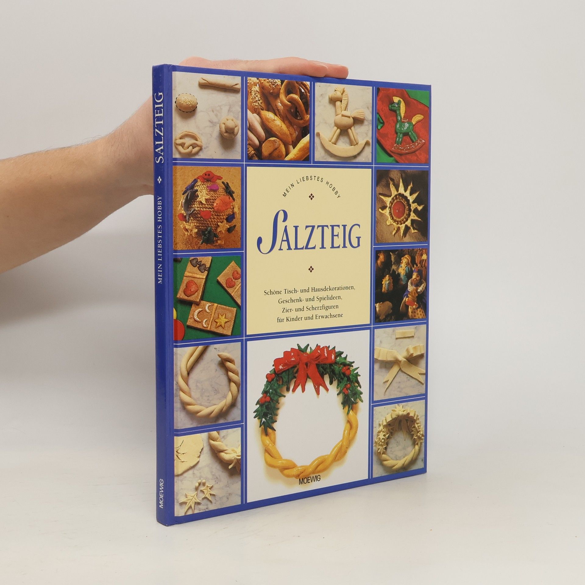 Collectif d'auteurs Salzteig