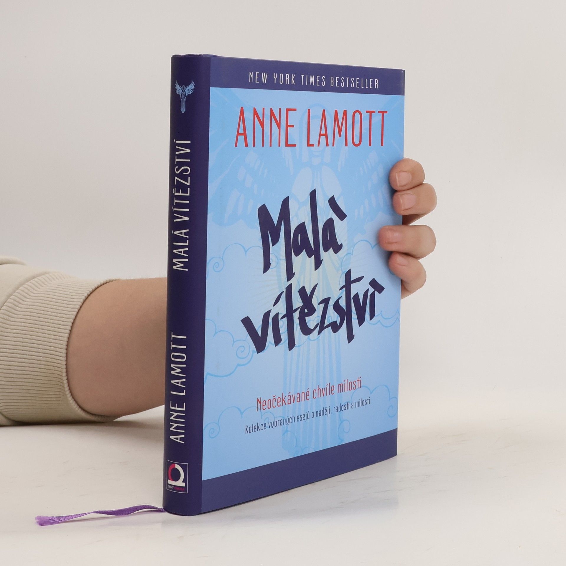 Anne Lamott Malá vítězství