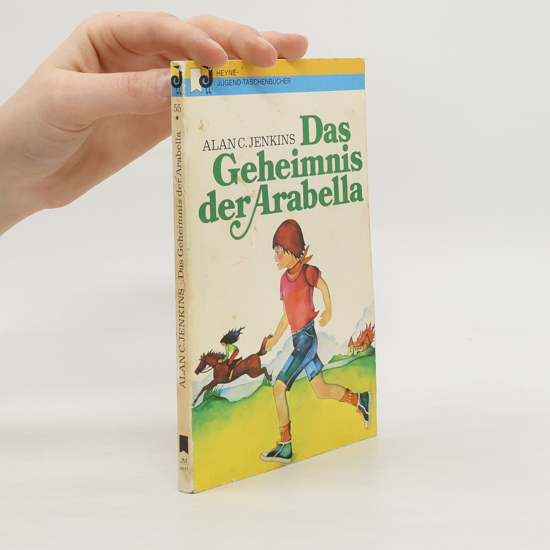 Alan Charles Jenkins Das Geheimnis der Arabella