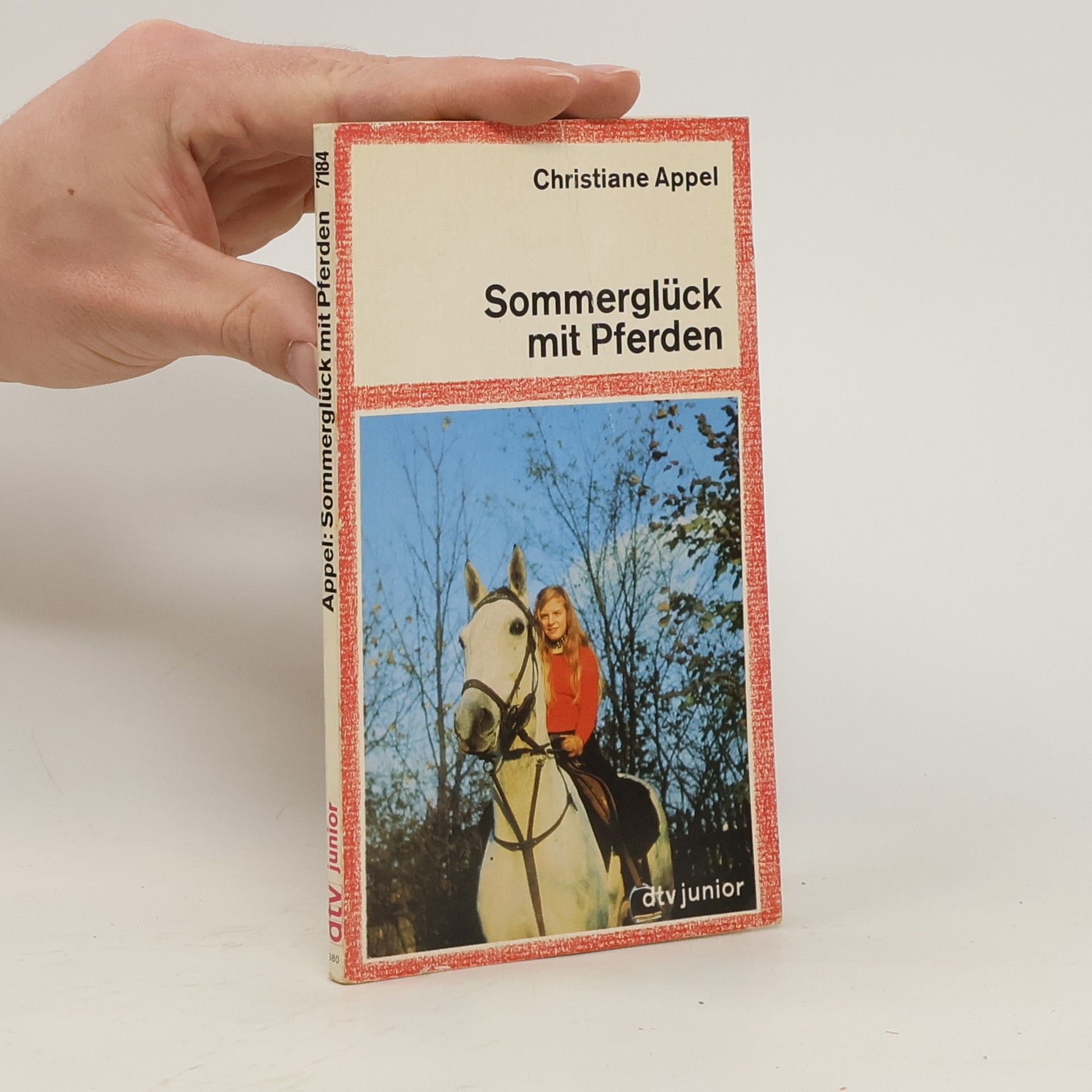 Christiane Appel Sommerglück mit Pferden