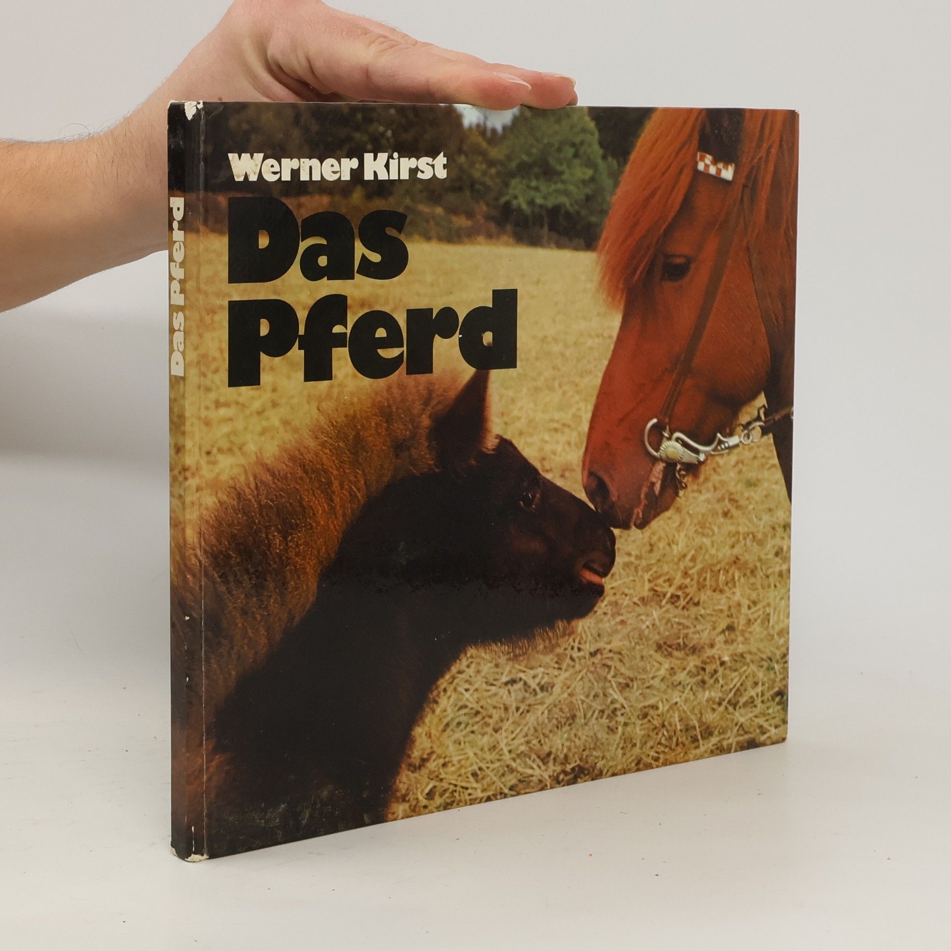 Werner Kirst Das Pferd