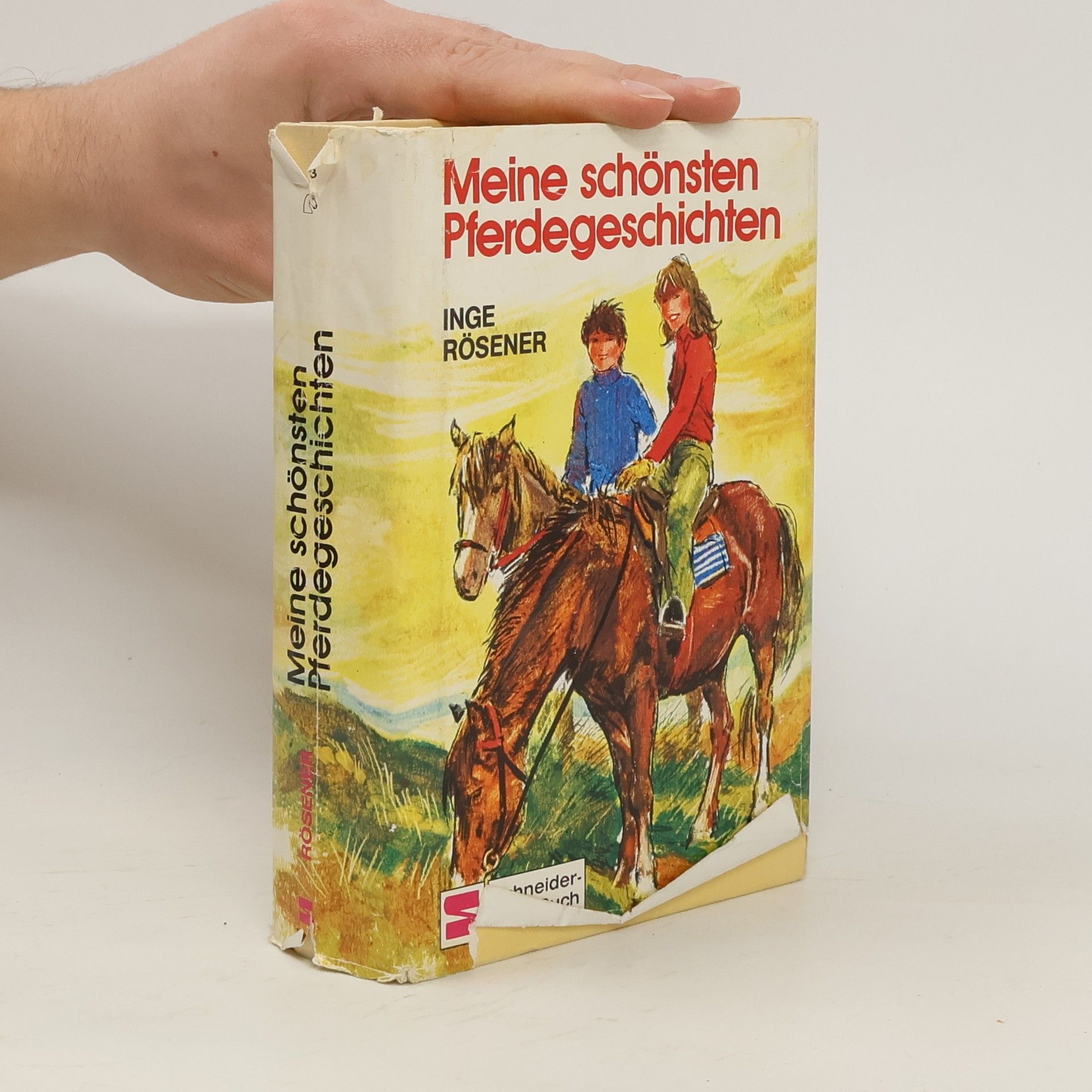 Inge Rösener Meine schönsten Pferdegeschichten