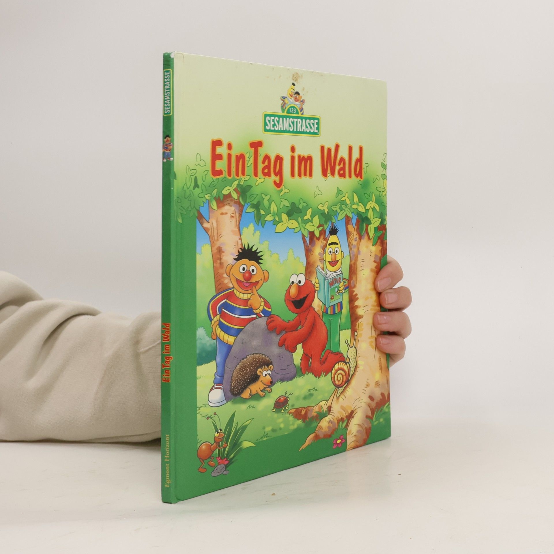 Autorenkollektiv Ein Tag im Wald