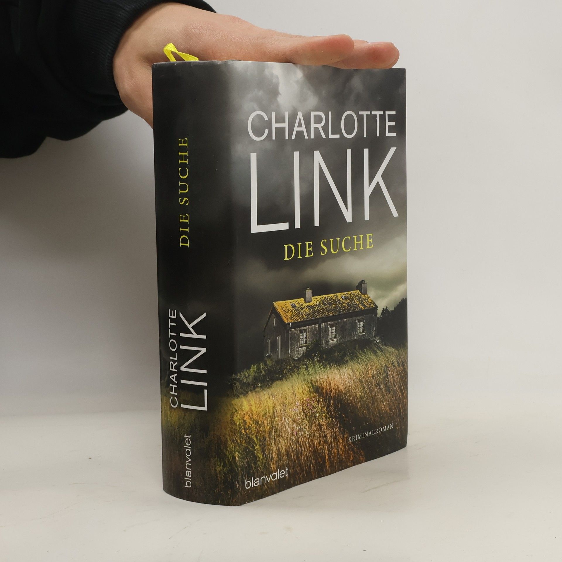 Charlotte Link Die Suche