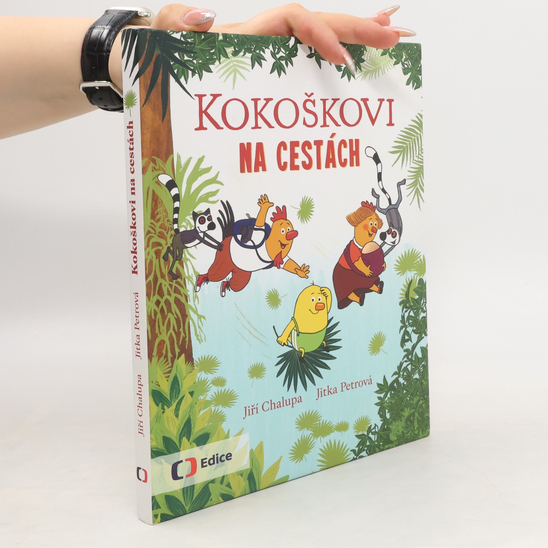 Jiří Chalupa Kokoškovi na cestách