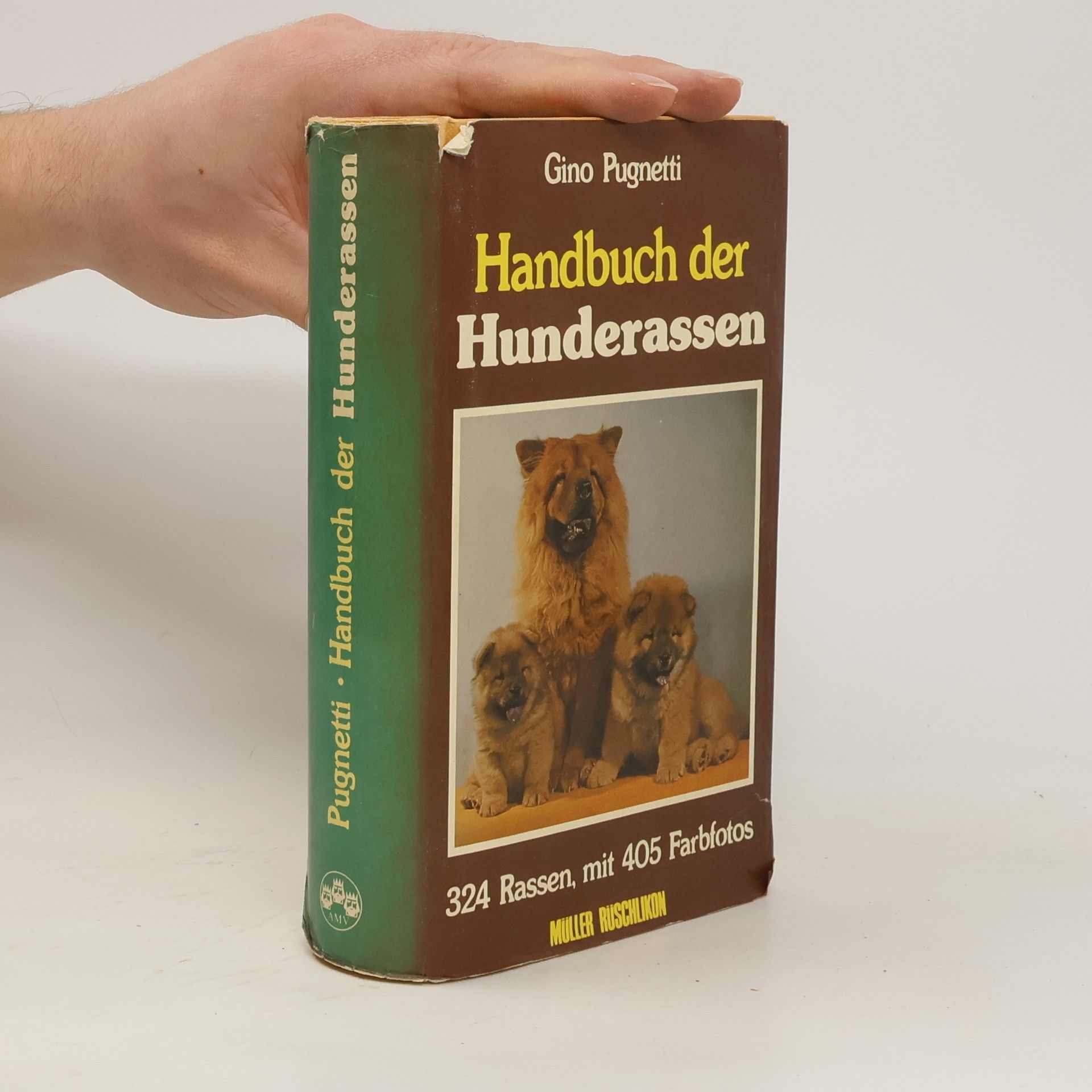 Gino Pugnetti Handbuch der Hunderassen