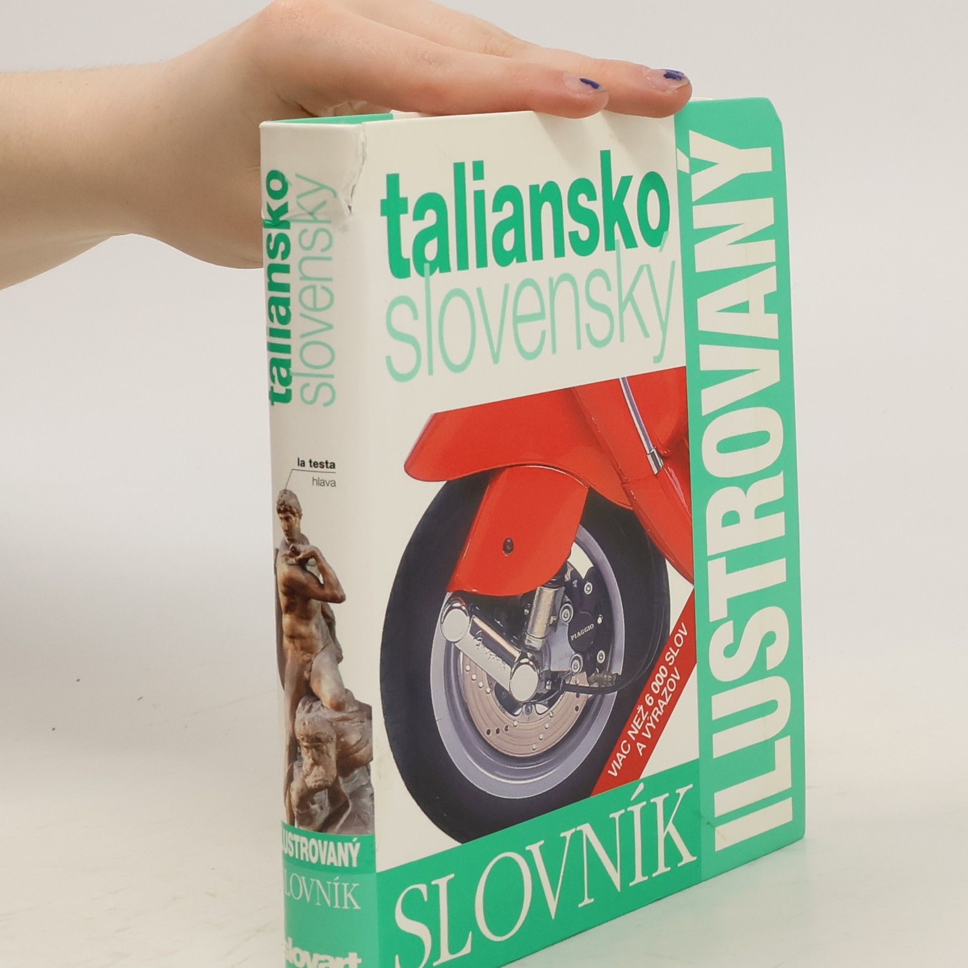 Autorenkollektiv Ilustrovaný slovník taliansko-slovenský
