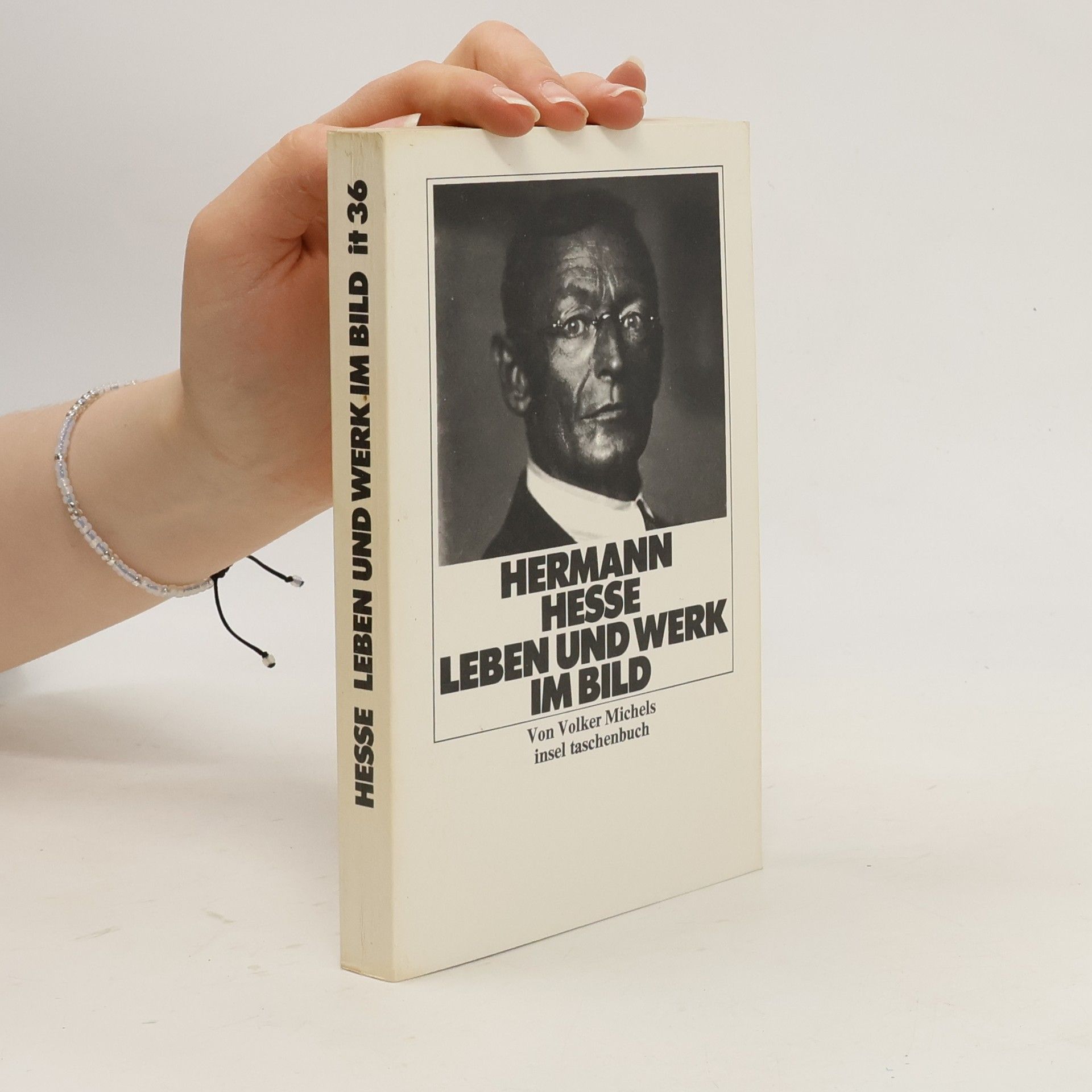 Volker Michels Hermann Hesse, Leben und Werk im Bild
