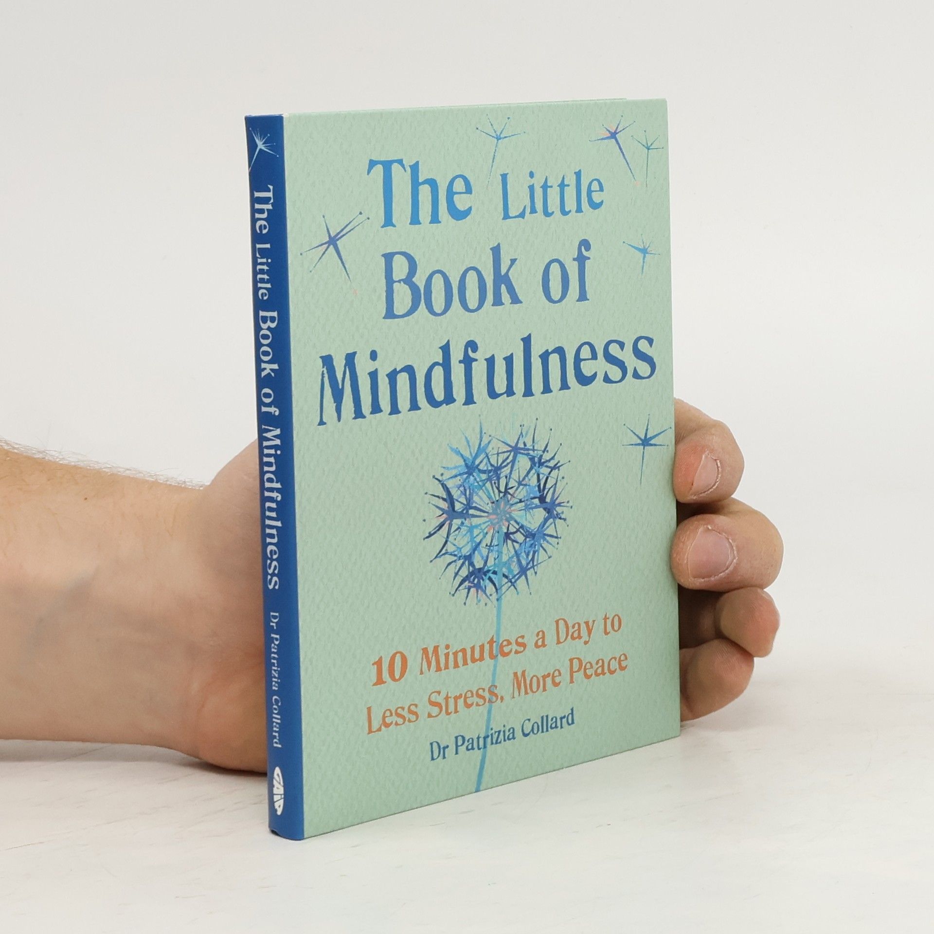 Patrizia Collard The little book of mindfulness