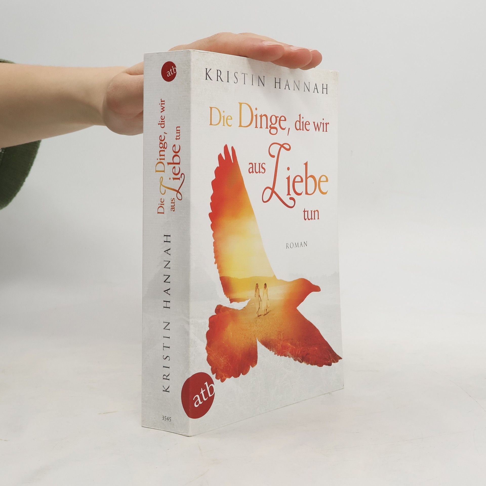 Kristin Hannah Die Dinge, die wir aus Liebe tun