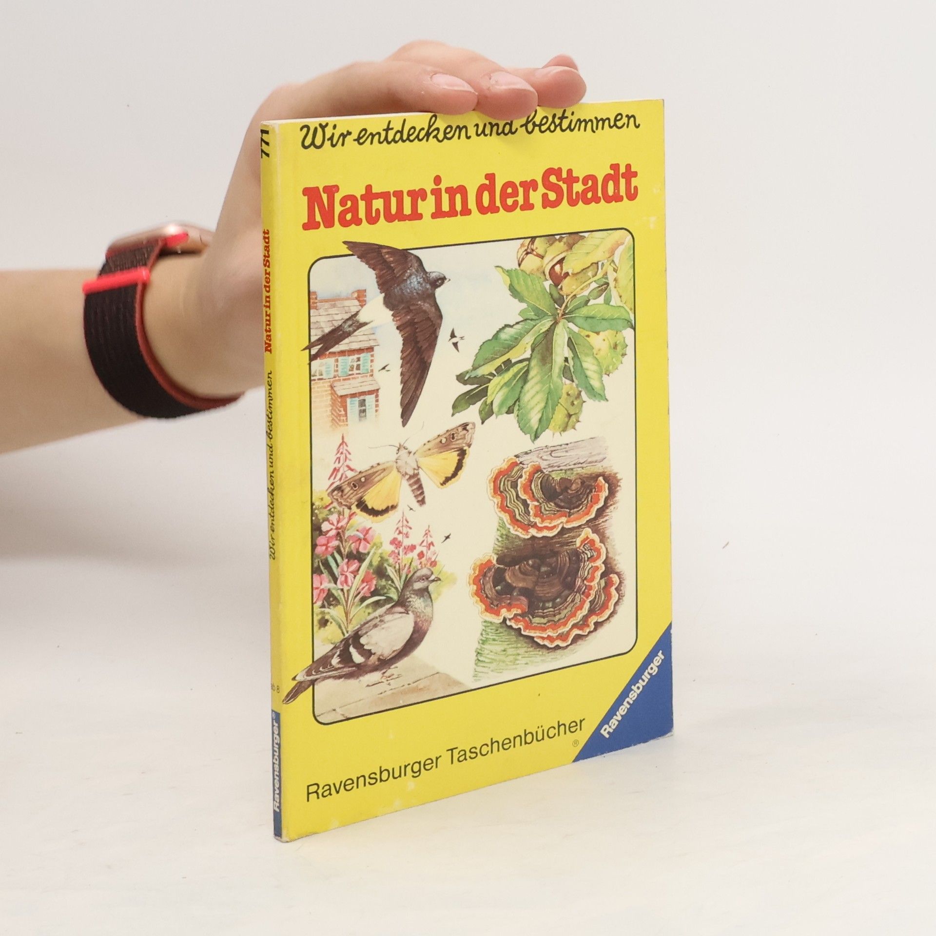 AA.VV. Wir entdecken und bestimmen. Natur in der Stadt